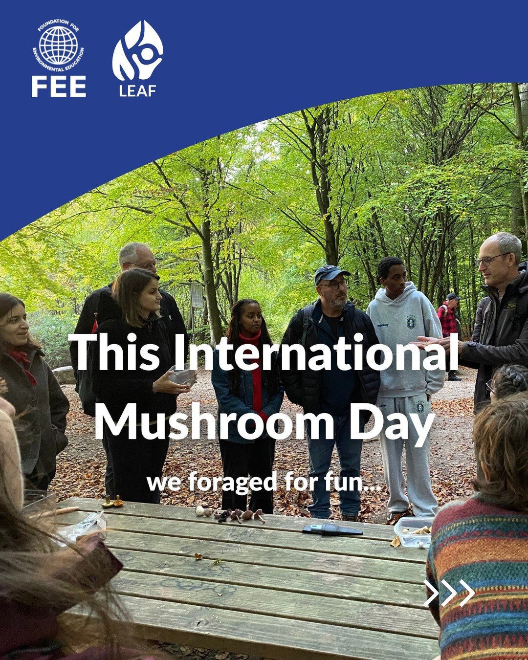 🍄 This International Mushroom Day, FEE staff looked beneath the surface! 🌿

The FEE Head Office team swapped desks for the forest floor and headed out on a mushroom hunt to discover some of nature&rsquo;s hidden treasures.
Guiding us was Jasper de 