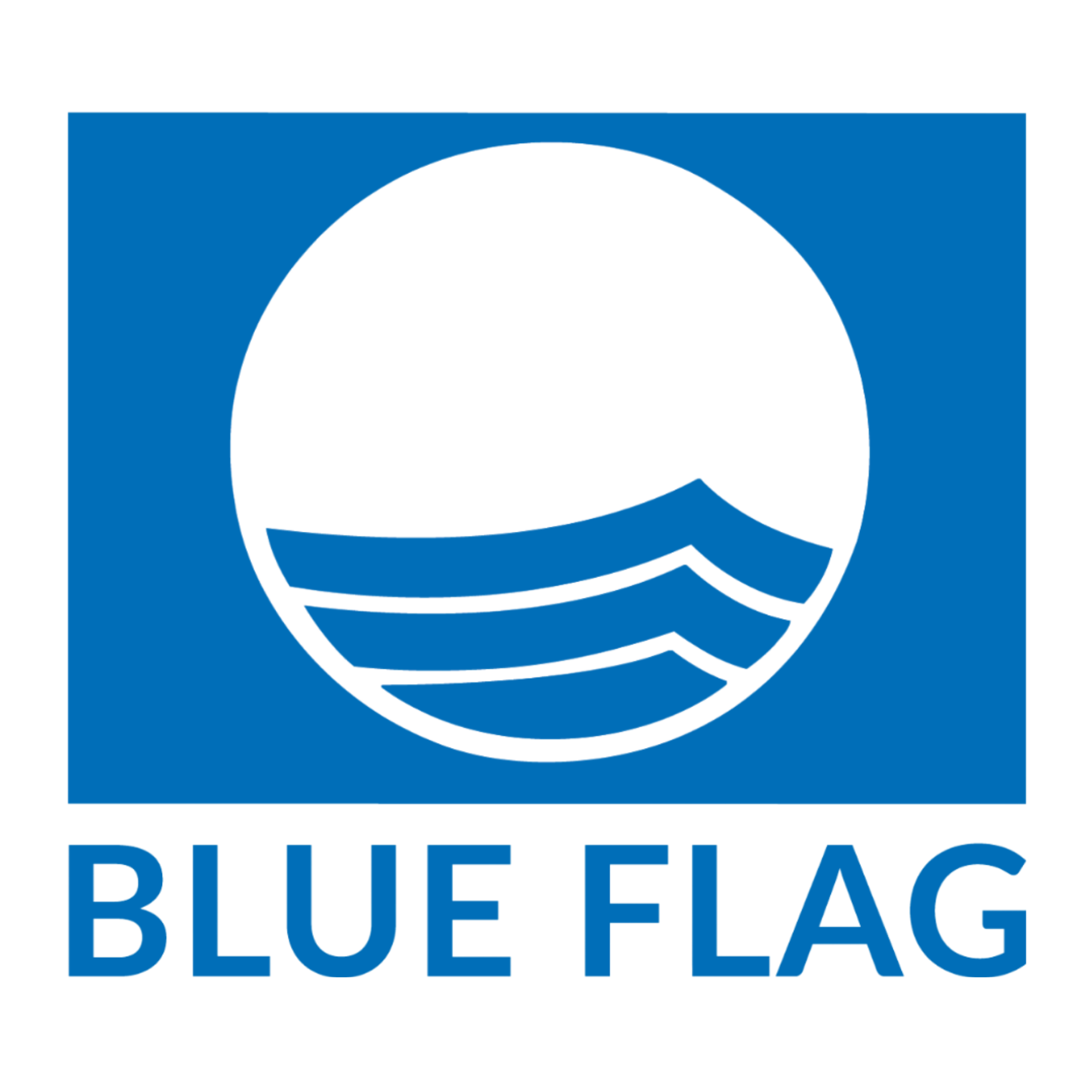 6.png