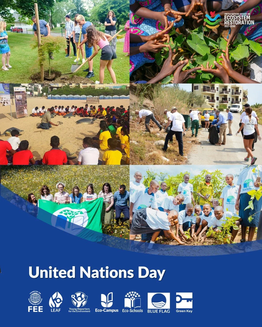On this #UNDay, the Foundation for Environmental Education (FEE) celebrates its partnership with the @unitednations and our shared commitment to advancing sustainability through education. 🌐 

Through our global programmes, @leaf_int, @yre_int, @eco