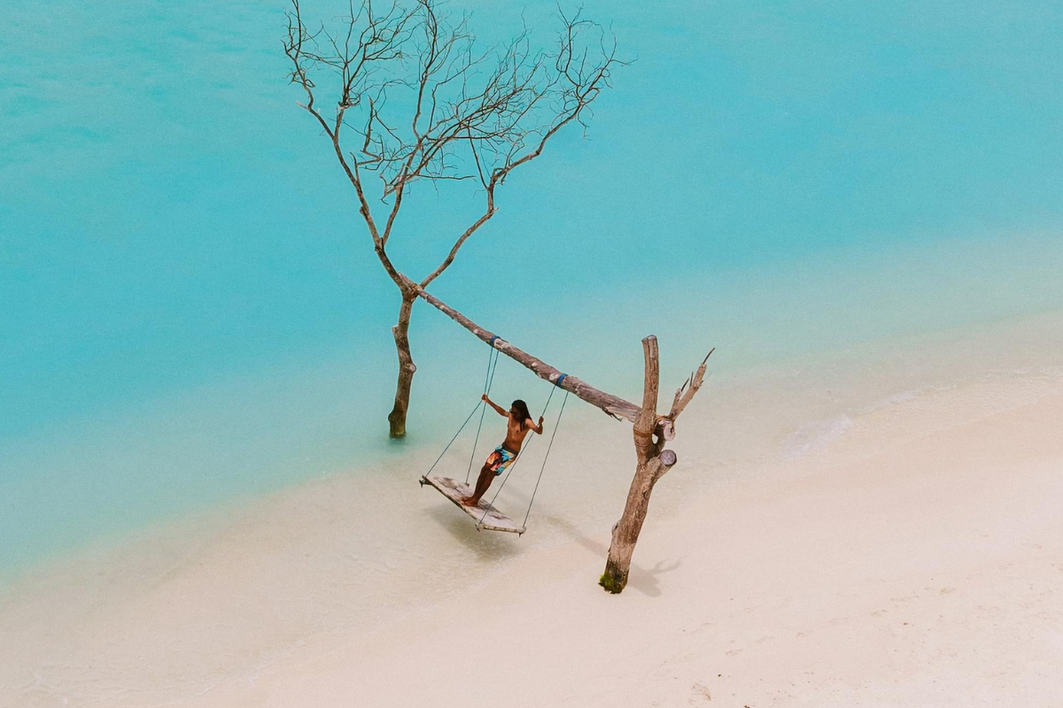 Implementing Sustainability in Your Tourism and Hospitality Establishment