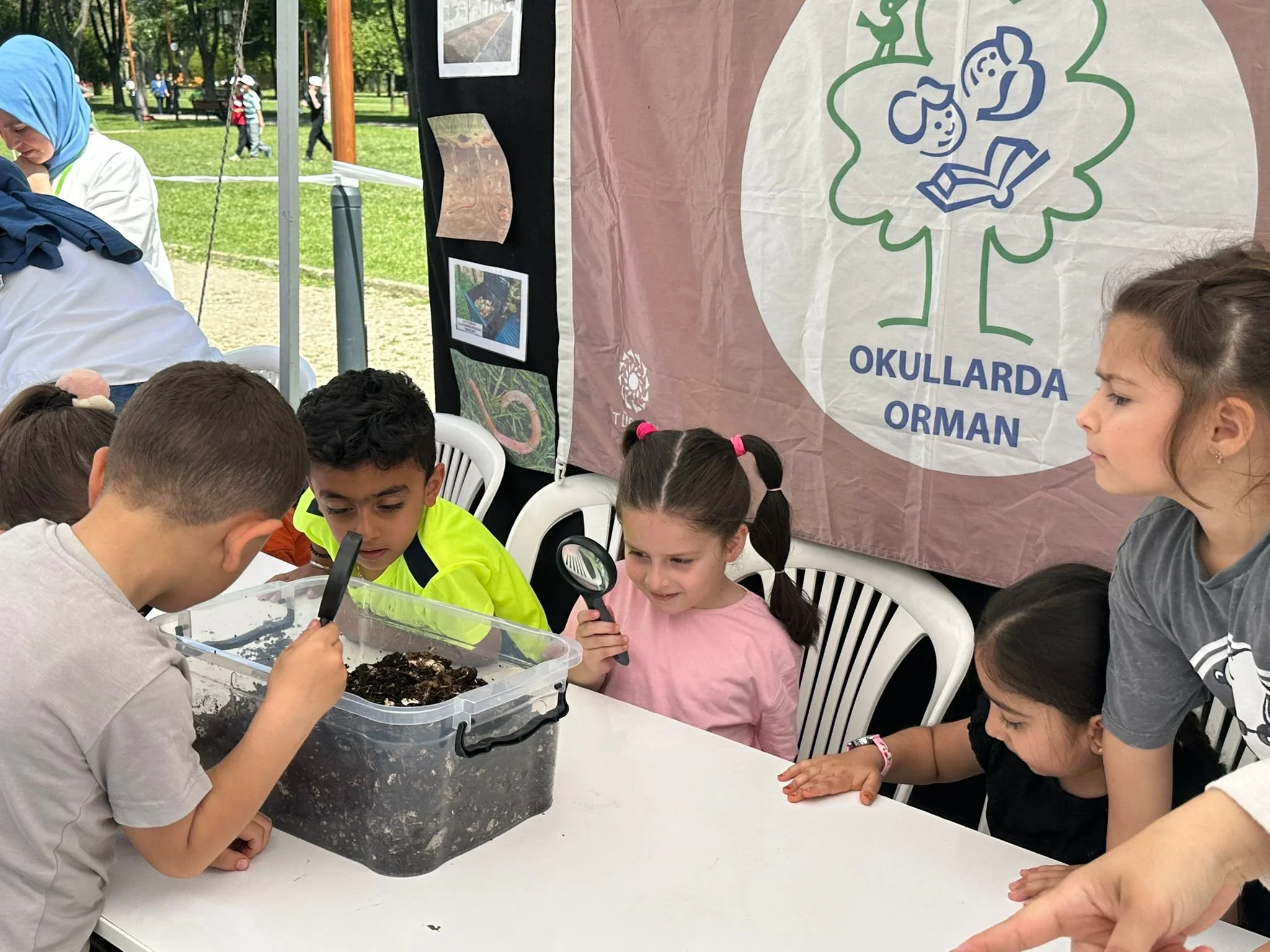 Today is World Environmental Education Day 2026 — Foundation for ...