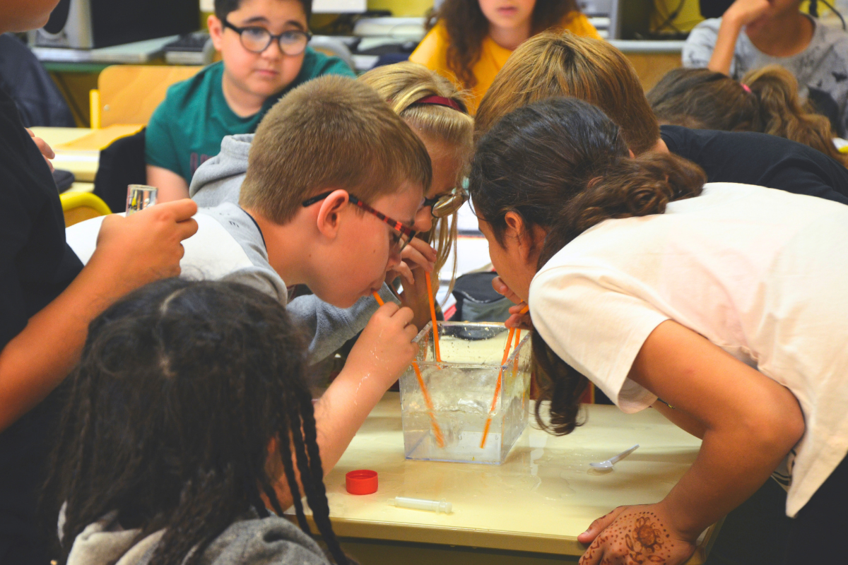 Climate Change Education: From Knowledge to Action