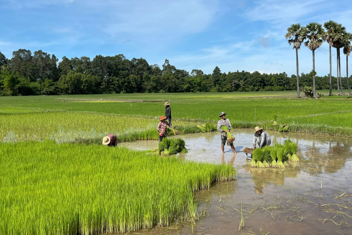 Basics of Sustainability in Tourism & Hospitality