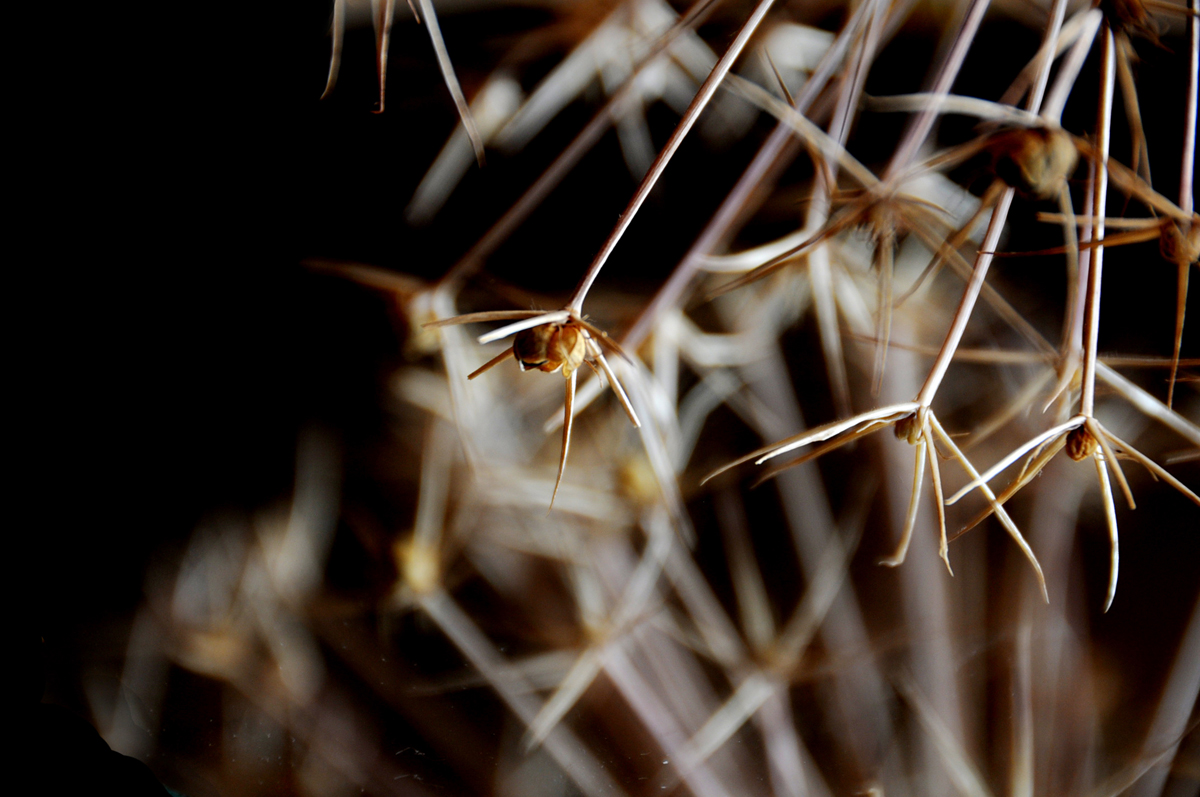 10x7u2abstract3.jpg