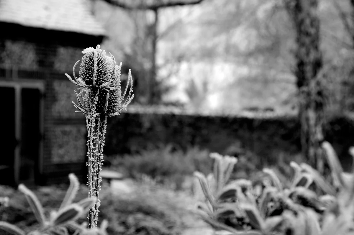 DSC_08601.jpg