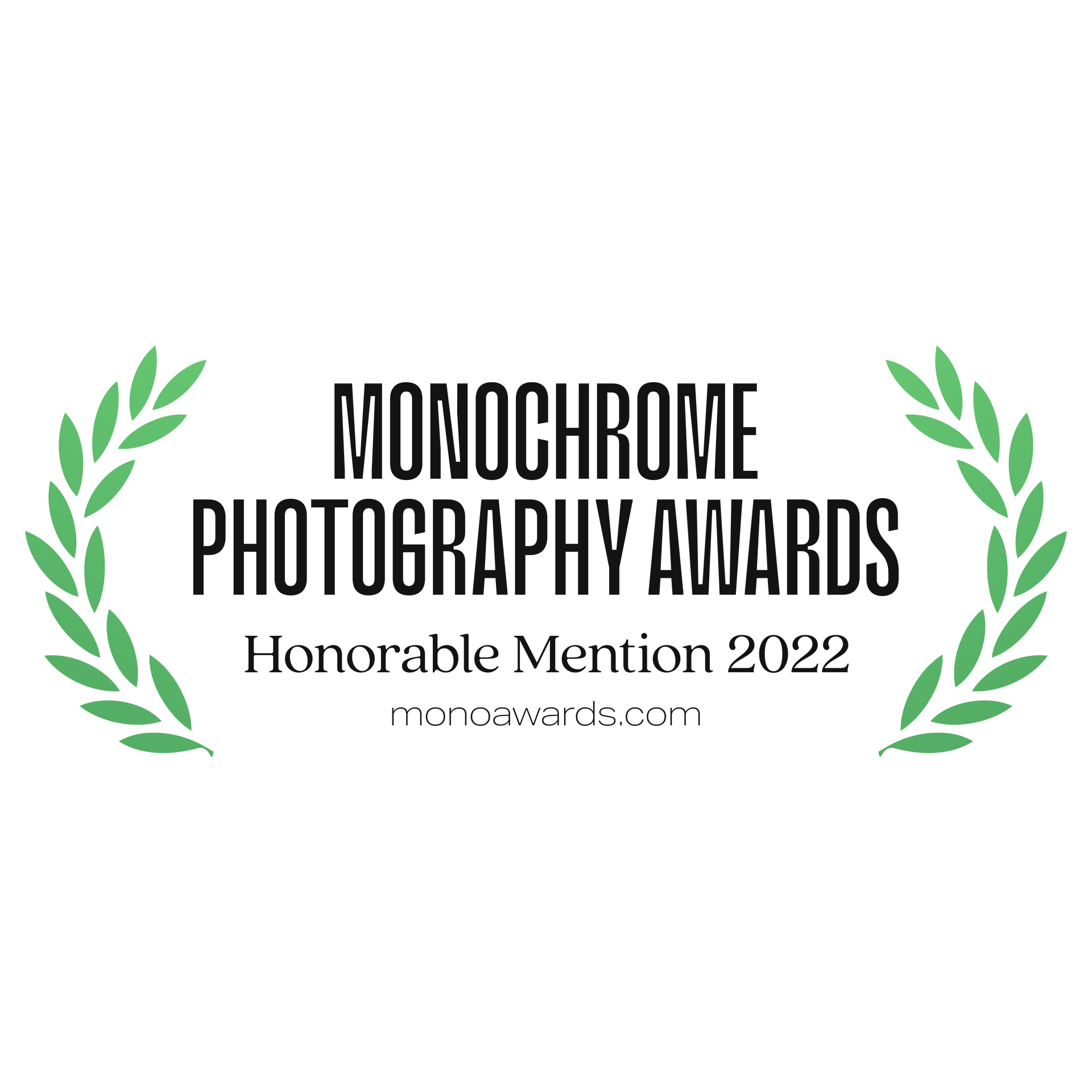monochrome_awards_2022_hm (1).png