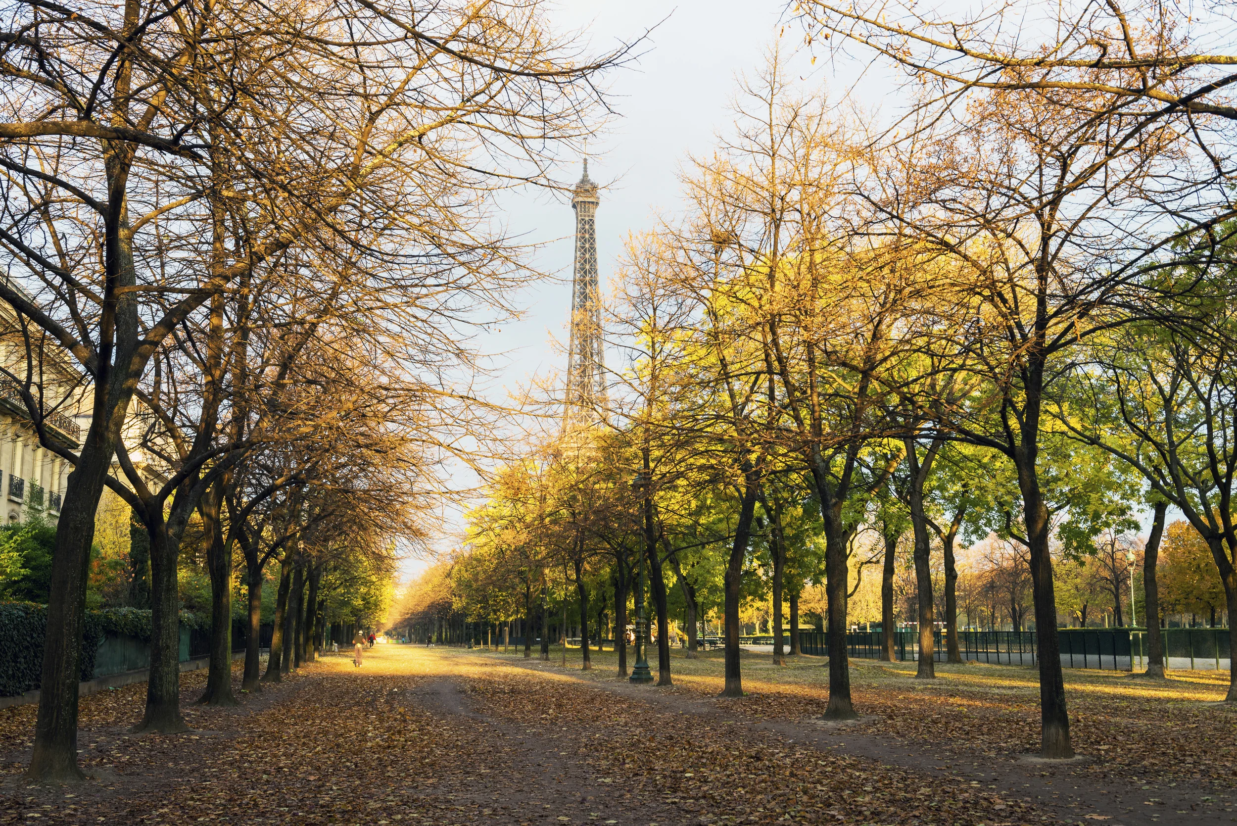 Where to find the DGM at COP21