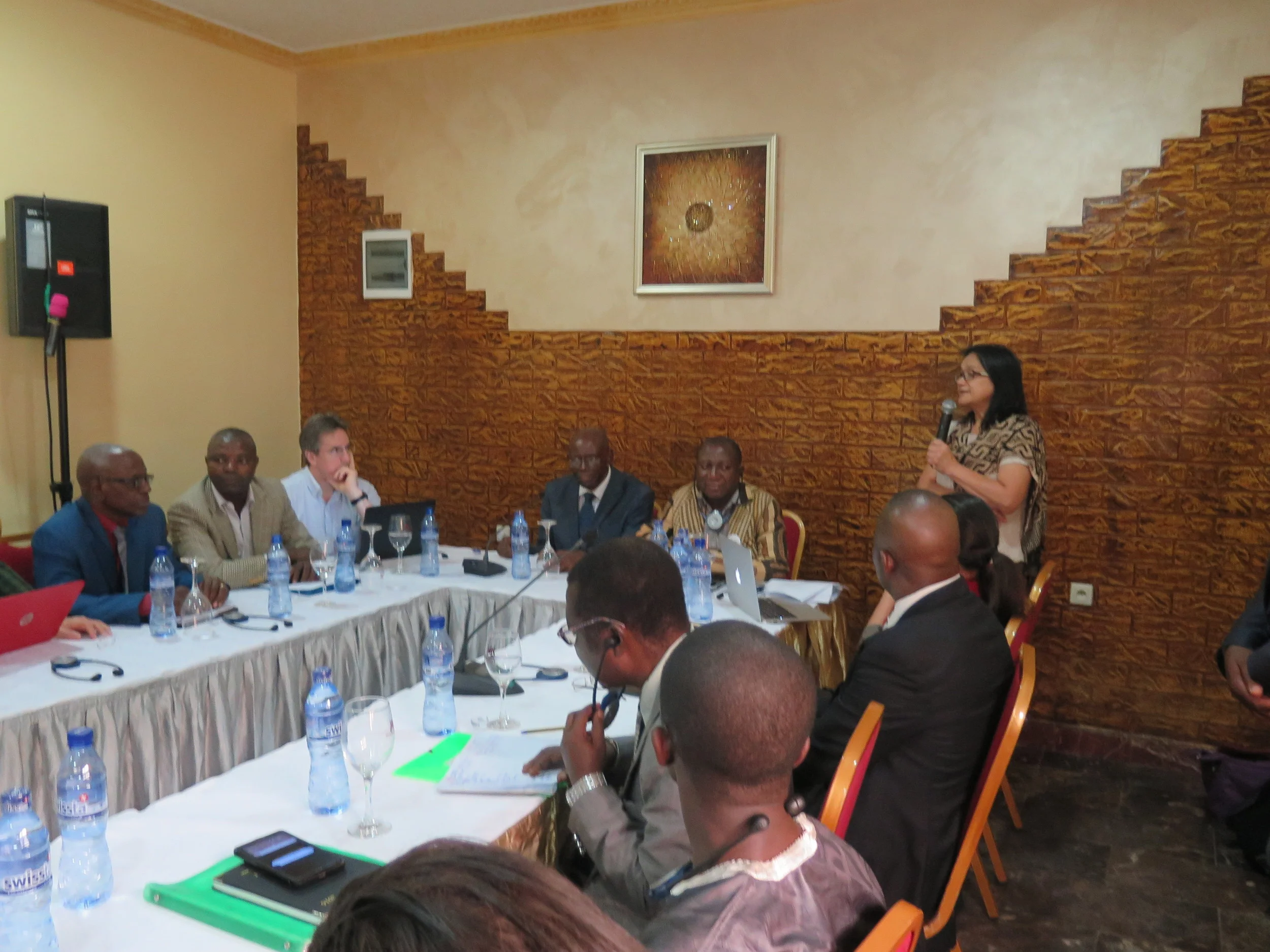 Successful GSC meeting and country project ceremony held in Kinshasa