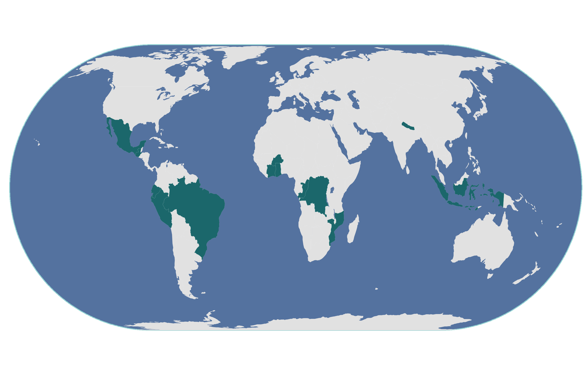 DGM_WorldMap_Web@4x.png