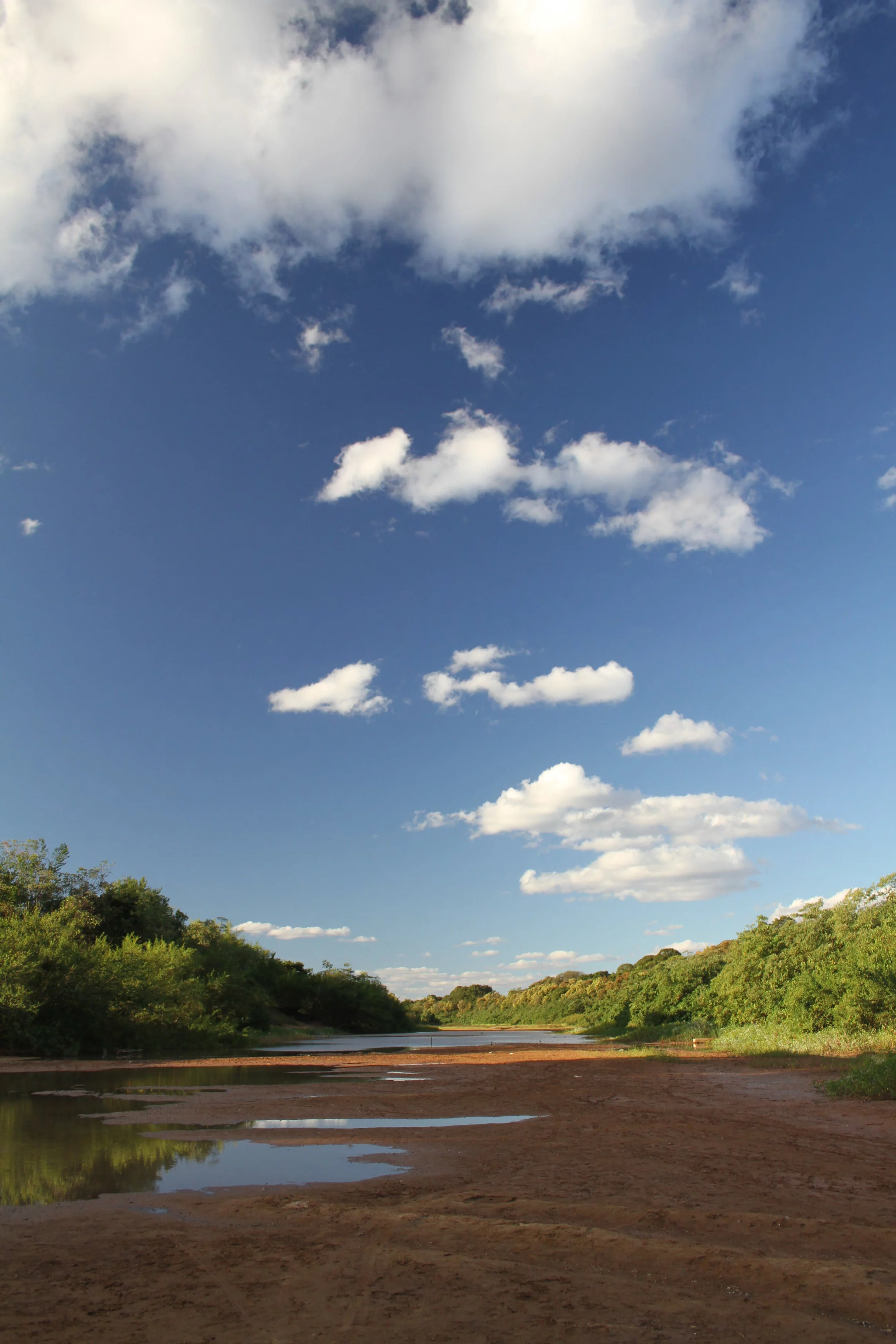 Riverbed in the Cerrado Biome region of Brazil. Photo Credit: Patti Dunne