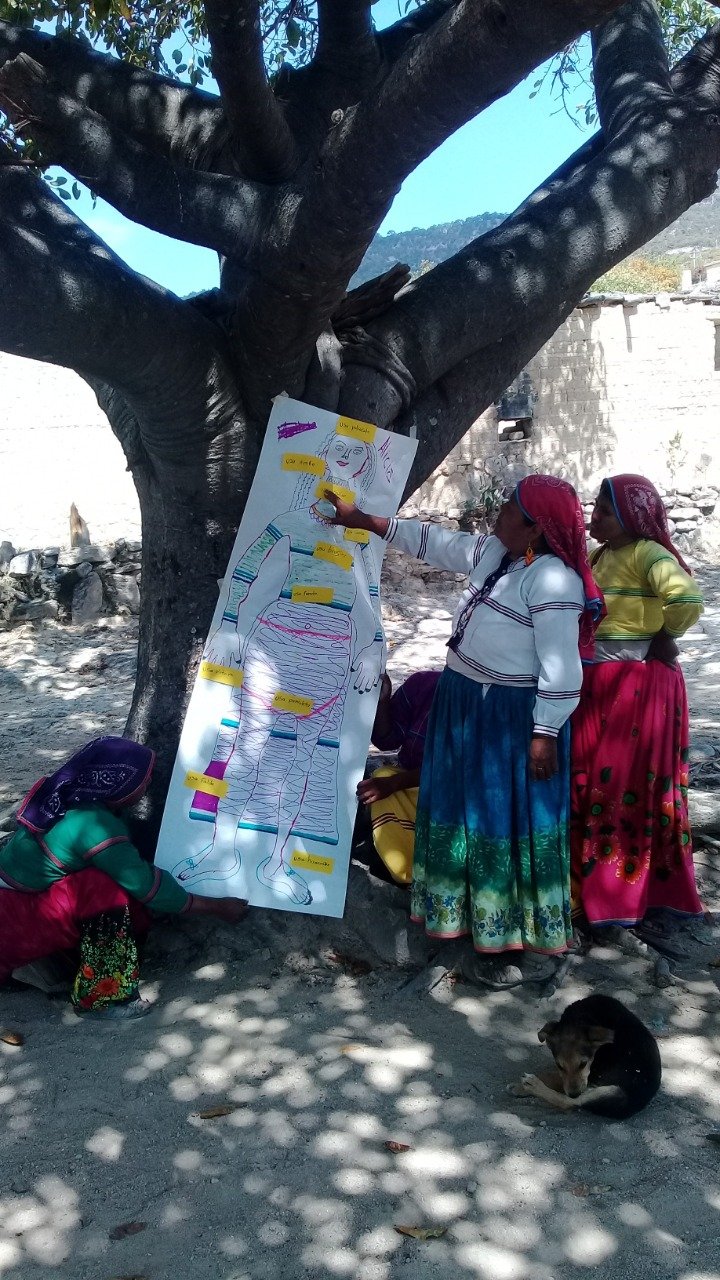 2021 DGM Global Learning Fellows' Spotlight