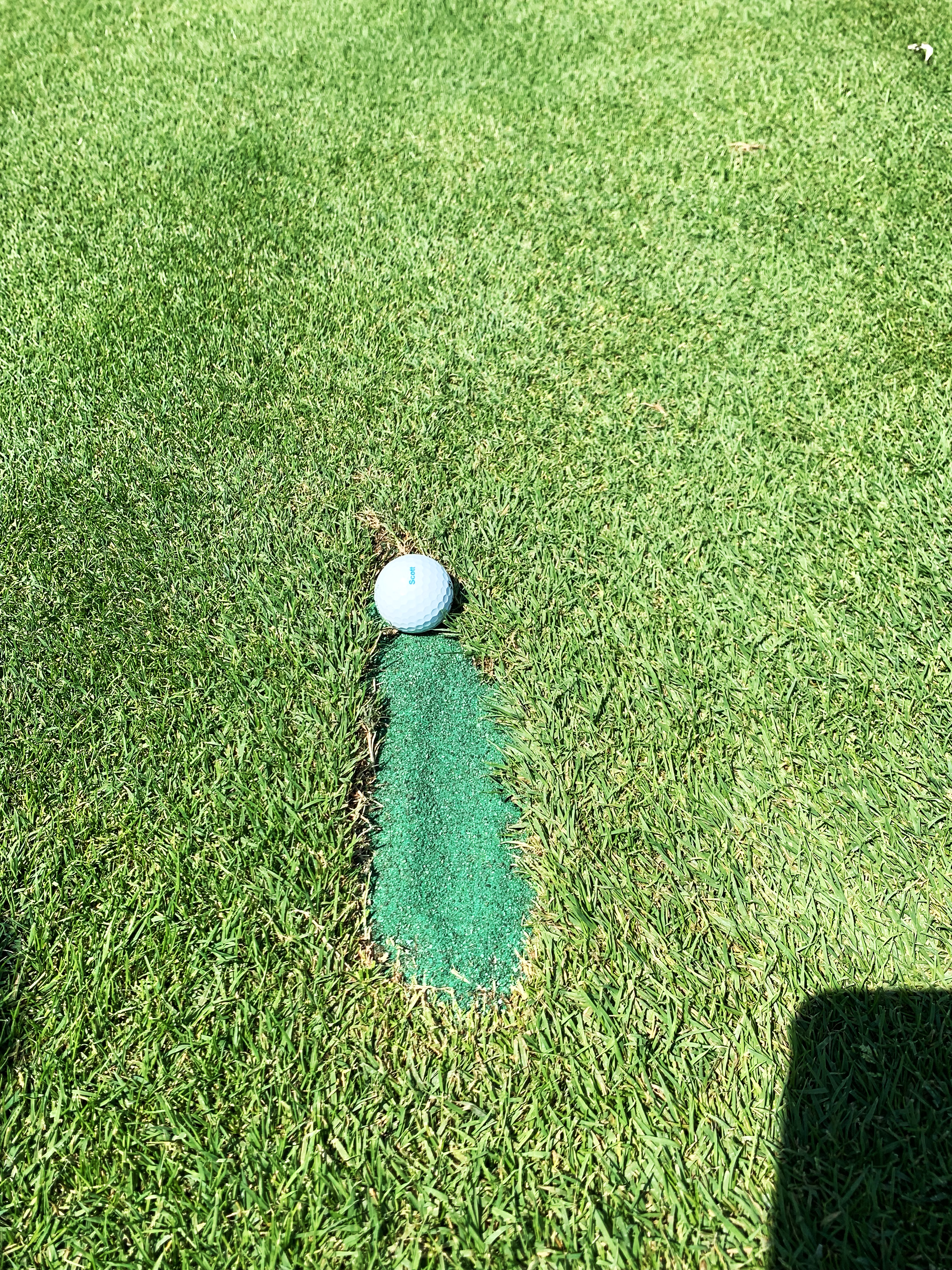 Indianwood, the divot 