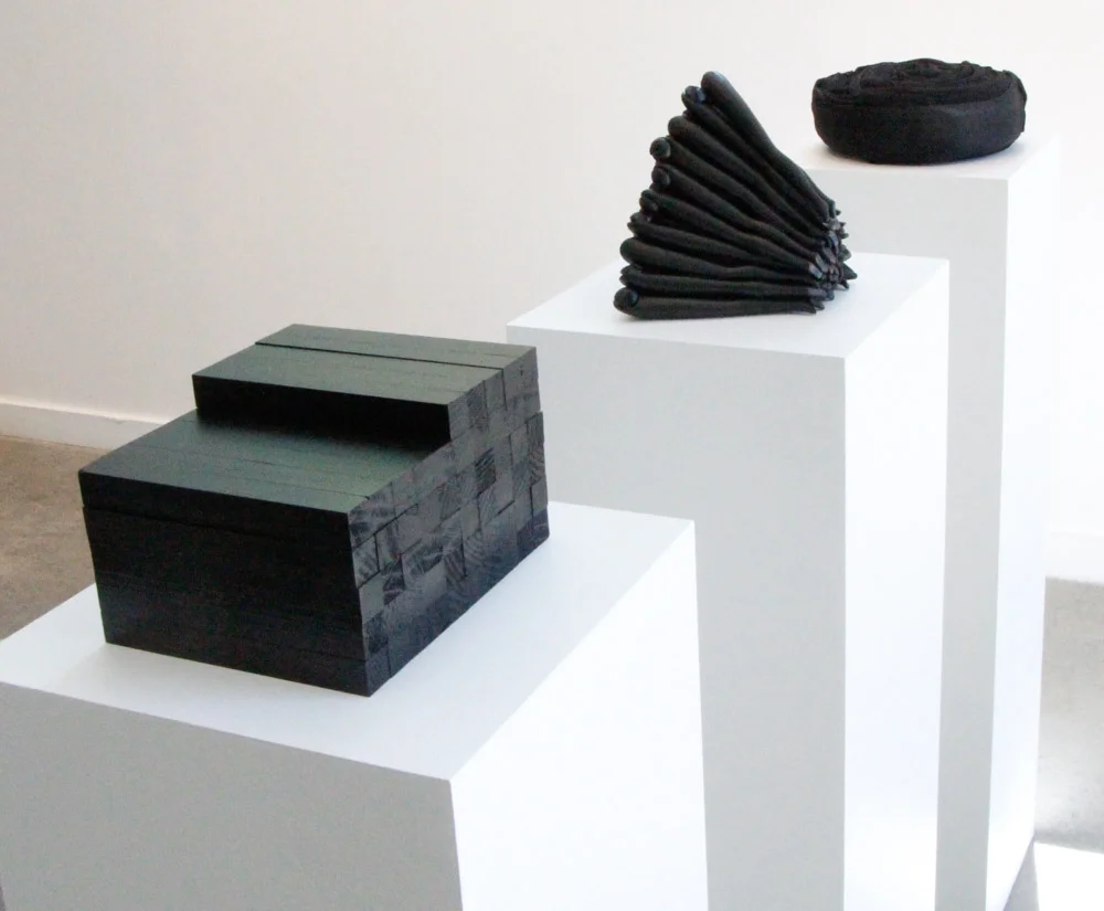 Gallery View of 55 Series