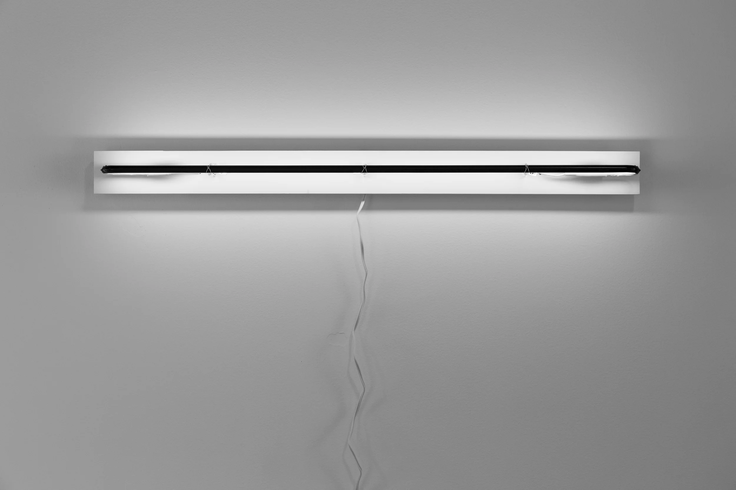 Black Line in Light (Neon)