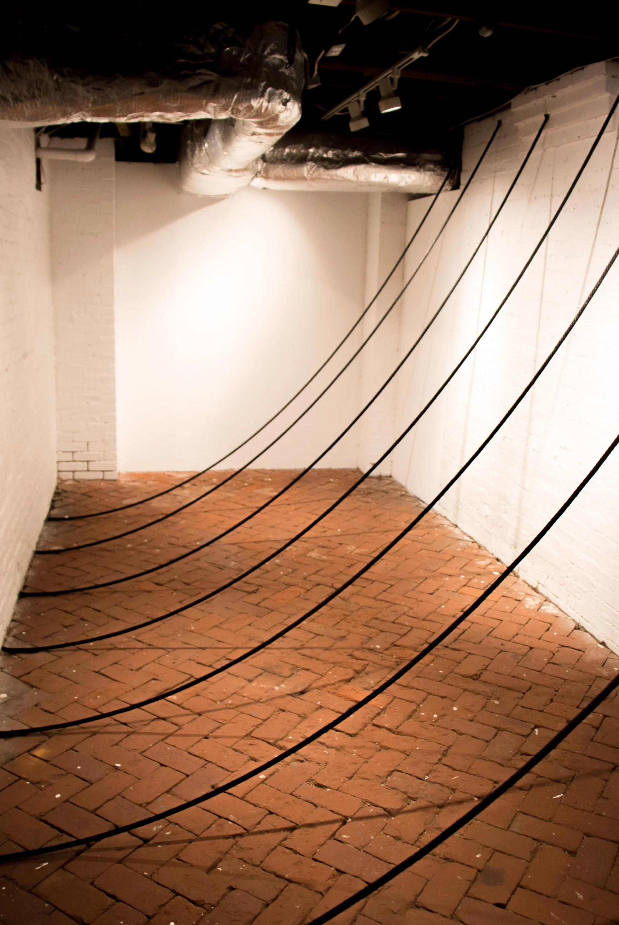 Eight Lines, A Study In Line Exhibition