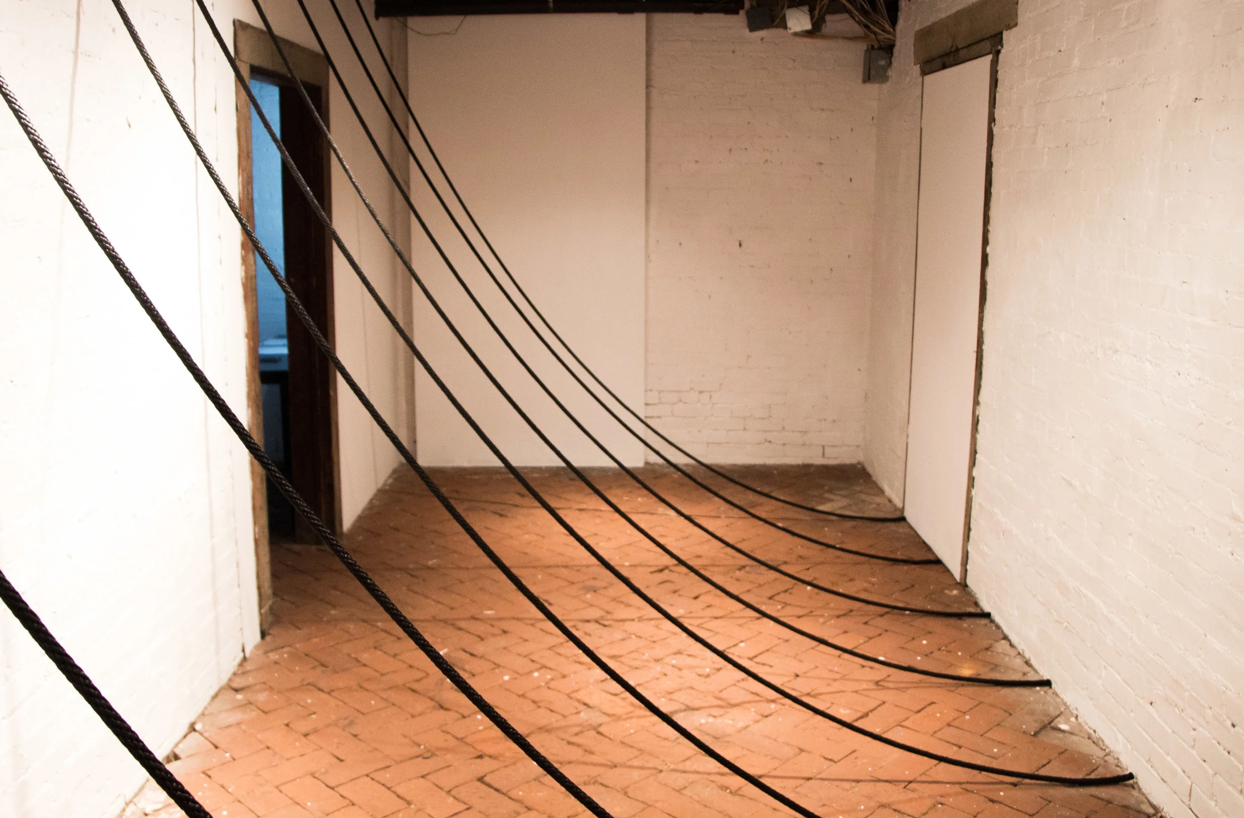 Eight Lines, A Study In Line, Exhibition