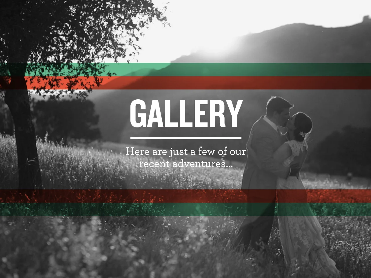 GalleryBanner_alt.jpg