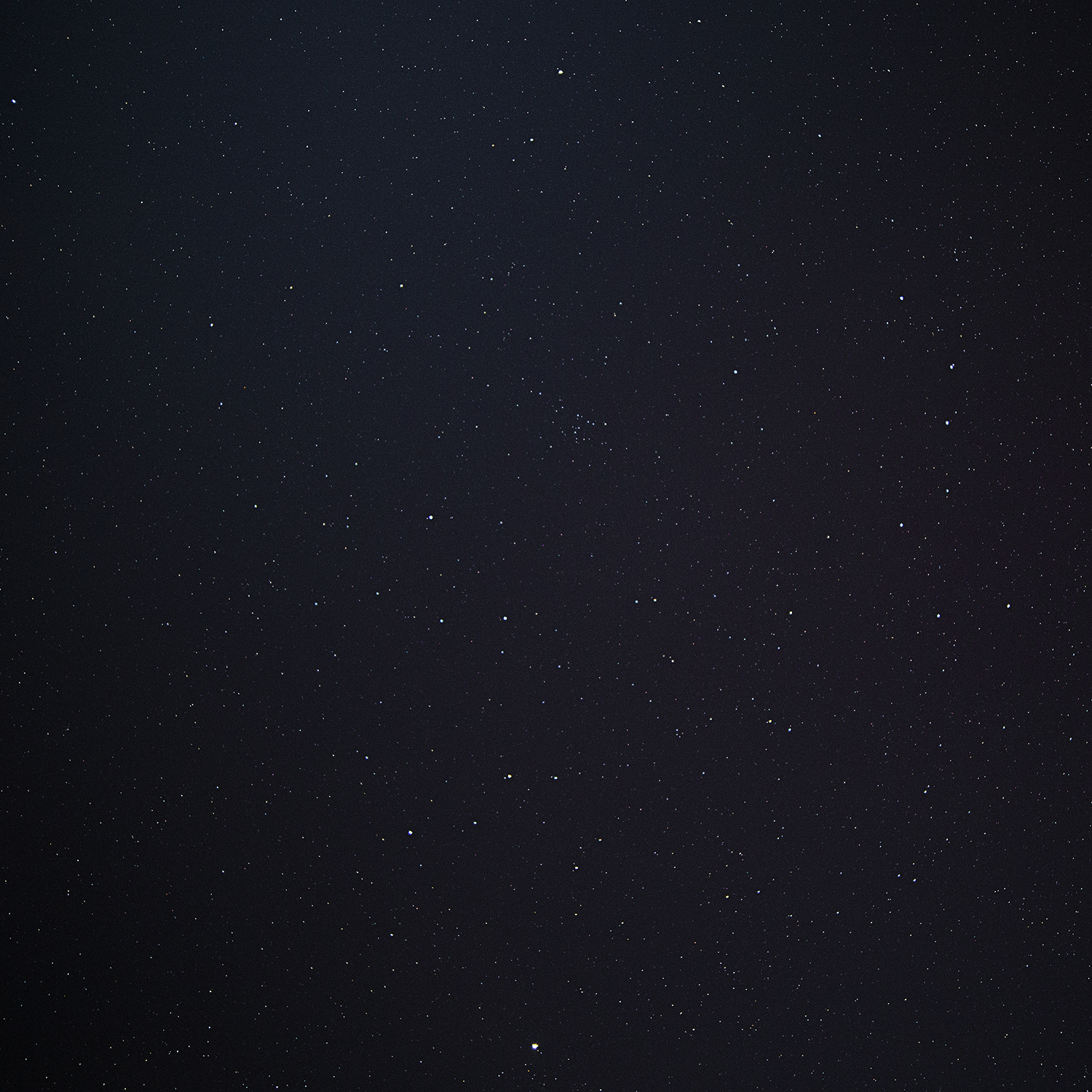 Sedon Stars.jpg