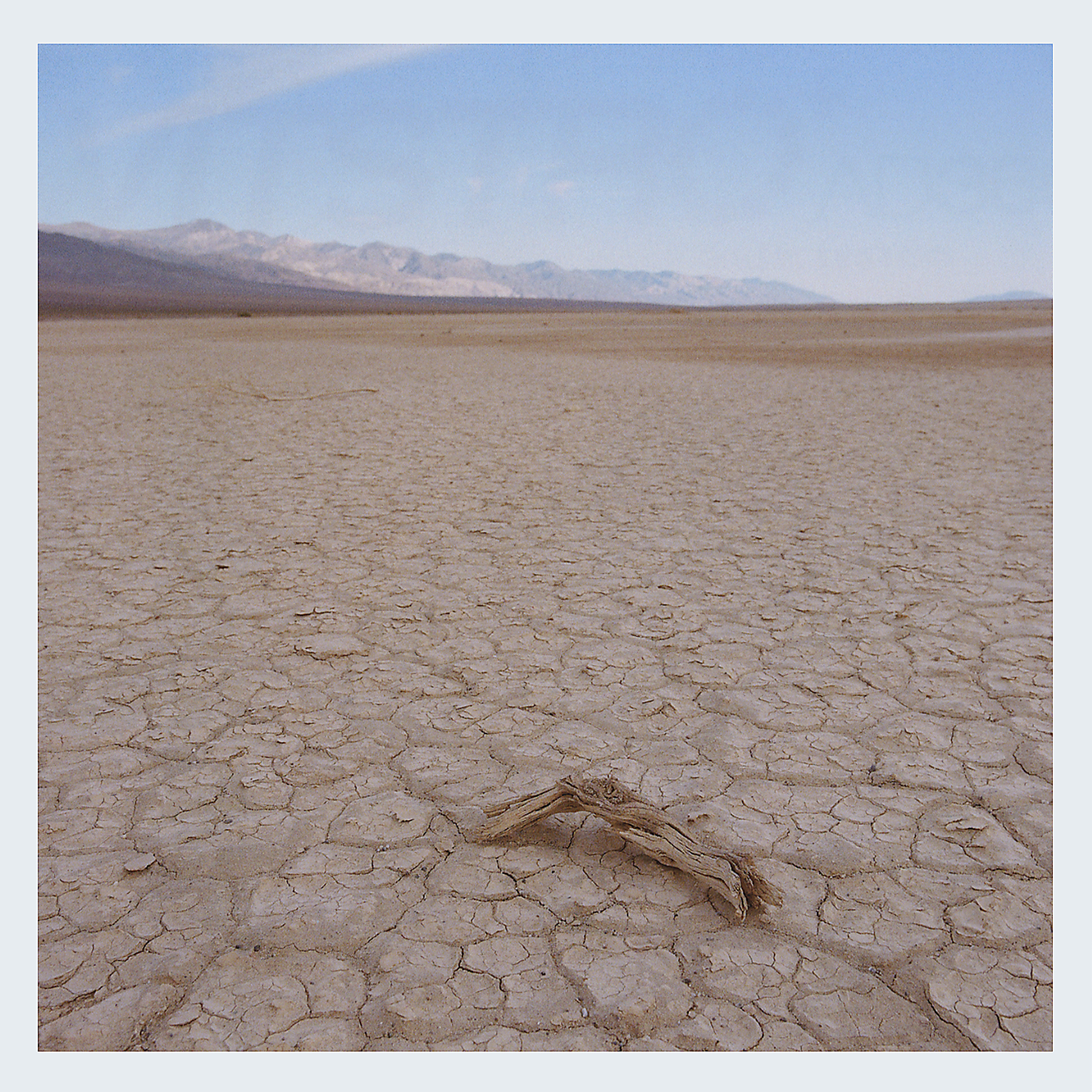 Death Valley Log.jpg