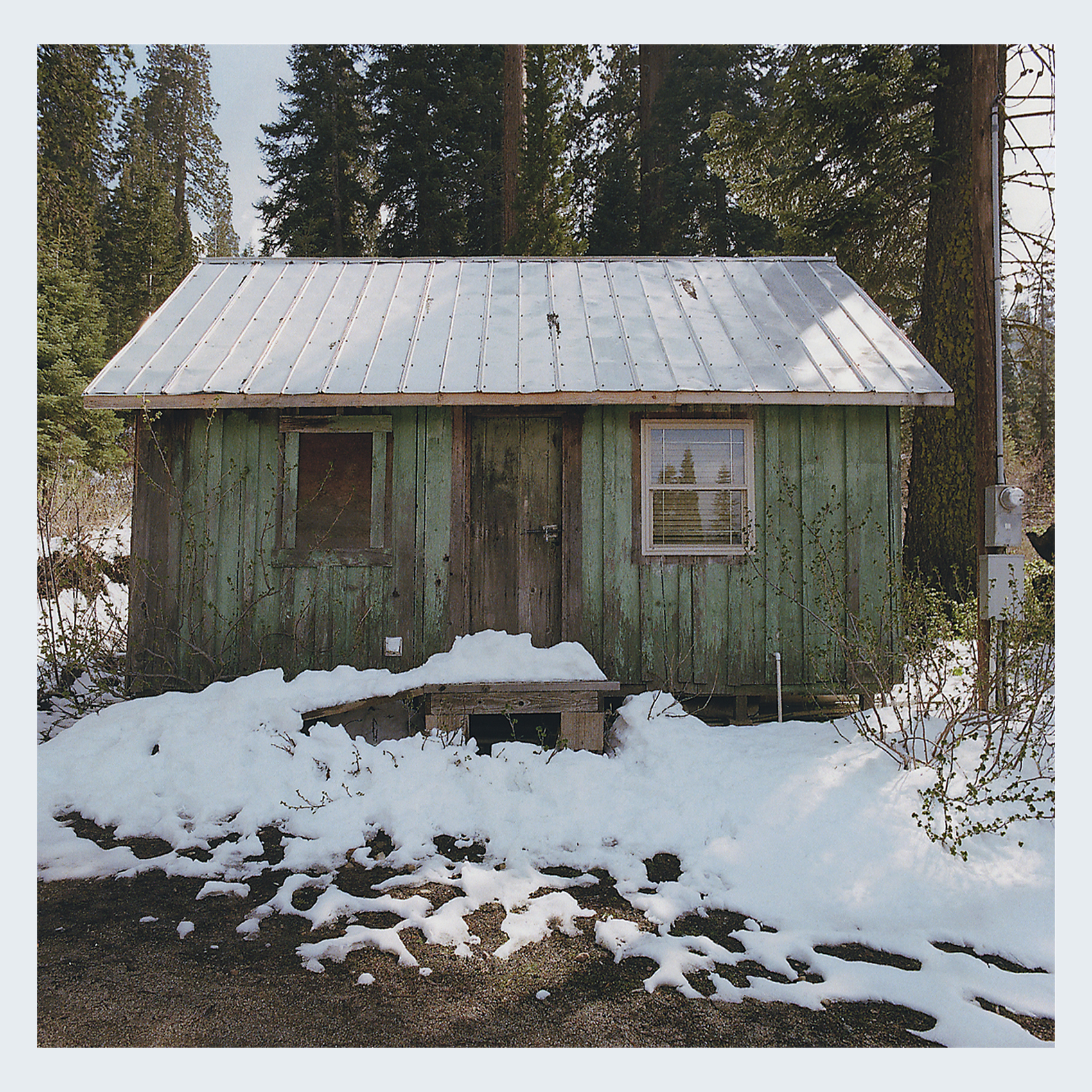 Green Shack In The Redwoods.jpg