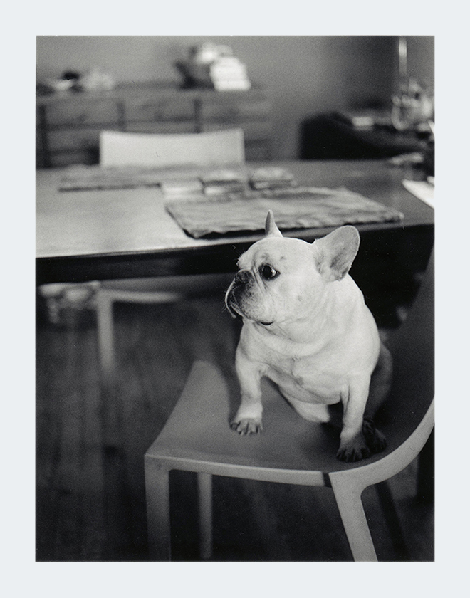 Pablo: Photograph taken on a Polaroid 600SE