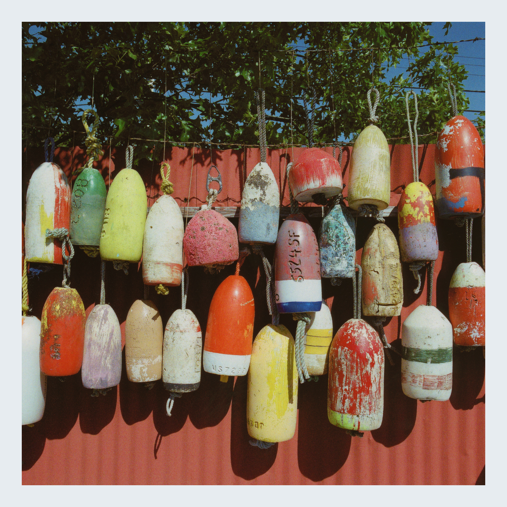 CAPE COD FISHING BUOYS FINAL.jpg