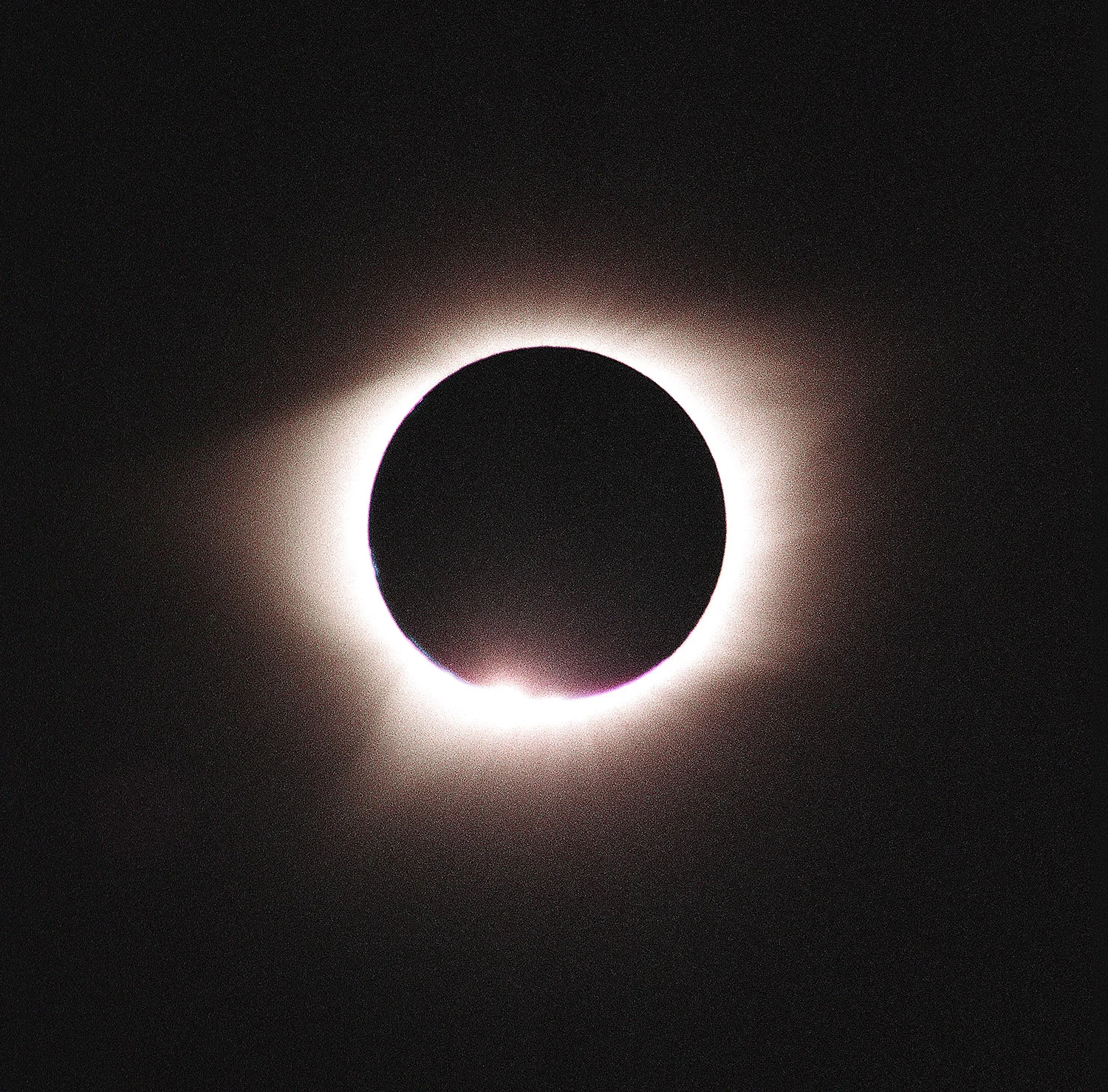 Taken using the Hasselblad 500CM with a 500 mm Tele-Tessar and a 2xTele-Convertor by my youngest son using cable release and tripod.