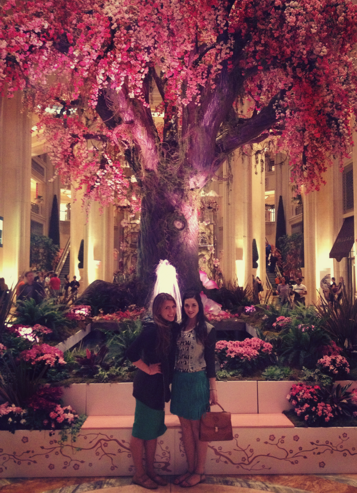 the palazzo hotel