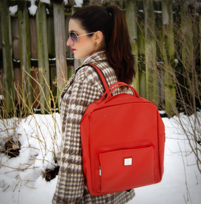 March Snow And Backpacks, Yo