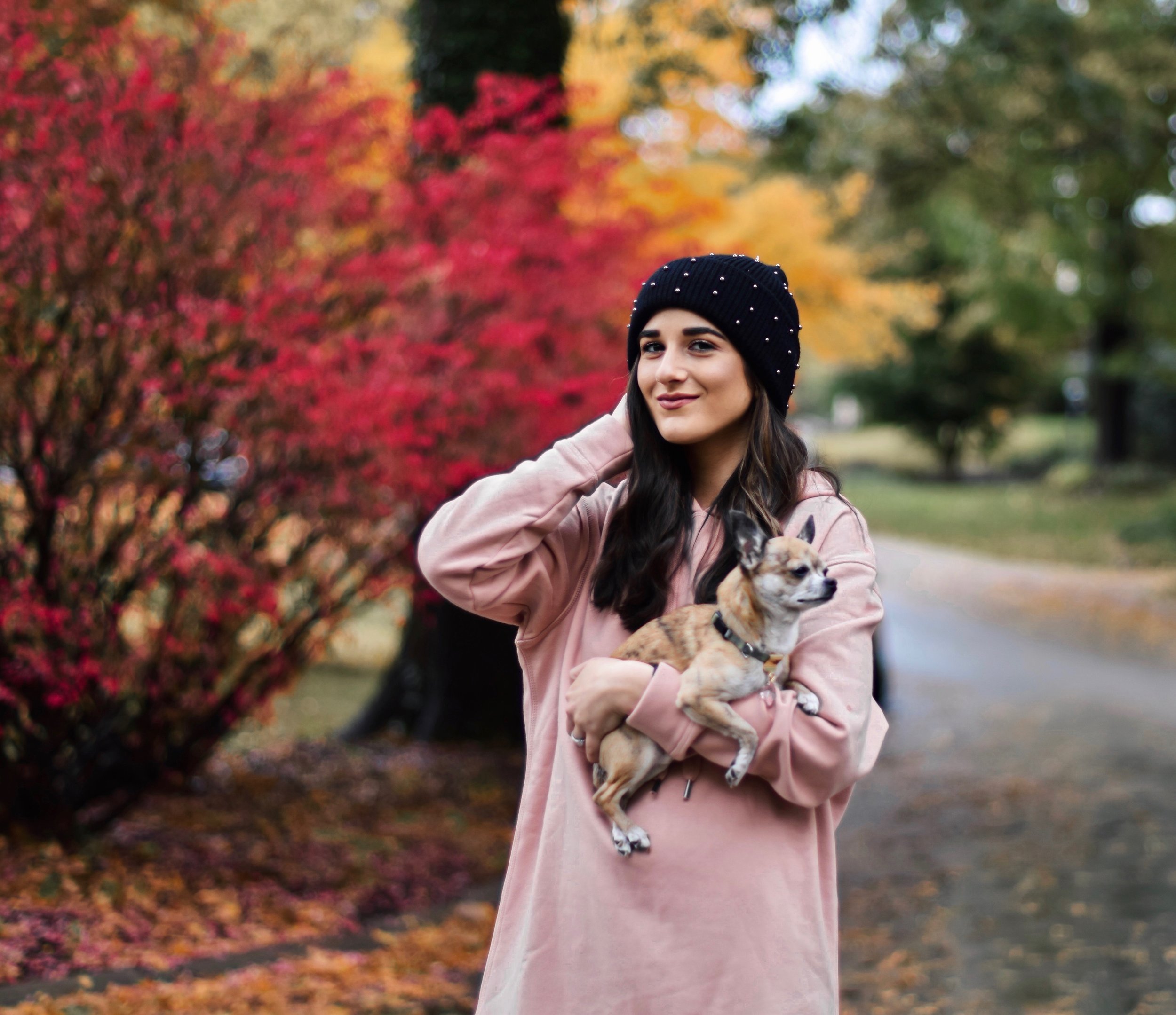Getting Winter Ready With Macy's Esther Santer Fashion Blog NYC Street Style Blogger Outfit OOTD Trendy Chihuahua Pink Sweatshirt Dress Black Beanie Black Fur Booties Boots Shoes Fall Winter Outfit Tights Beautiful  H&M Shop Cute Puppy Dog Inspiration.jpg