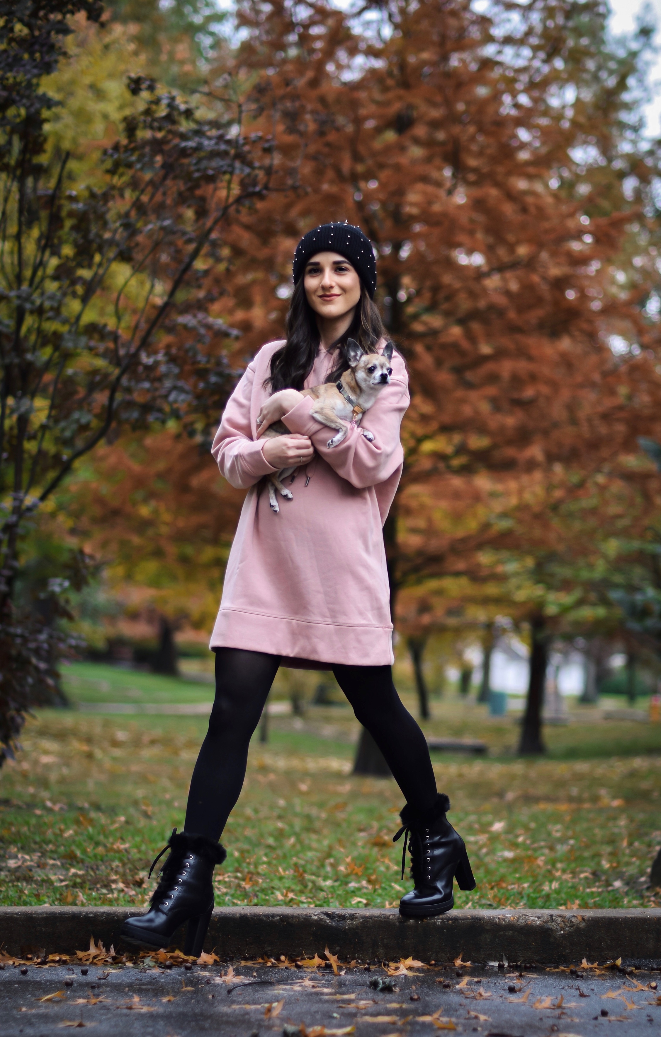 Getting Winter Ready With Macy's Esther Santer Fashion Blog NYC Street Style Blogger Outfit OOTD Trendy Chihuahua Pink Sweatshirt Dress Black Beanie Black Fur Booties Boots Shoes Fall Winter Outfit Tights Beautiful H&M Shop Cute Puppy Dog Inspiration.jpg