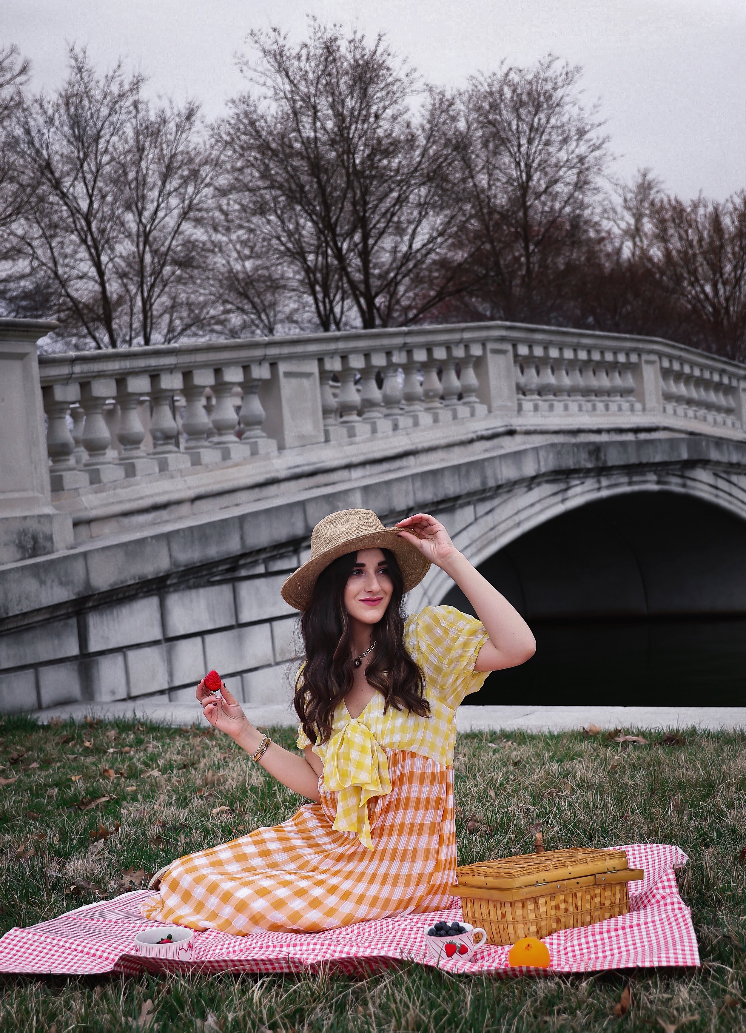 Gingham Midi Dress Summer Picnic Esther Santer NYC Street Style Fashion Blogger Fedora Checkered Maxi Orange Yellow Colorful Spring Stawberries Photoshoot St Louis Missouri Foxiedox Noa Initital Necklace Gold  Bracelets Rings Jewelry Forest Park Hat.JPG