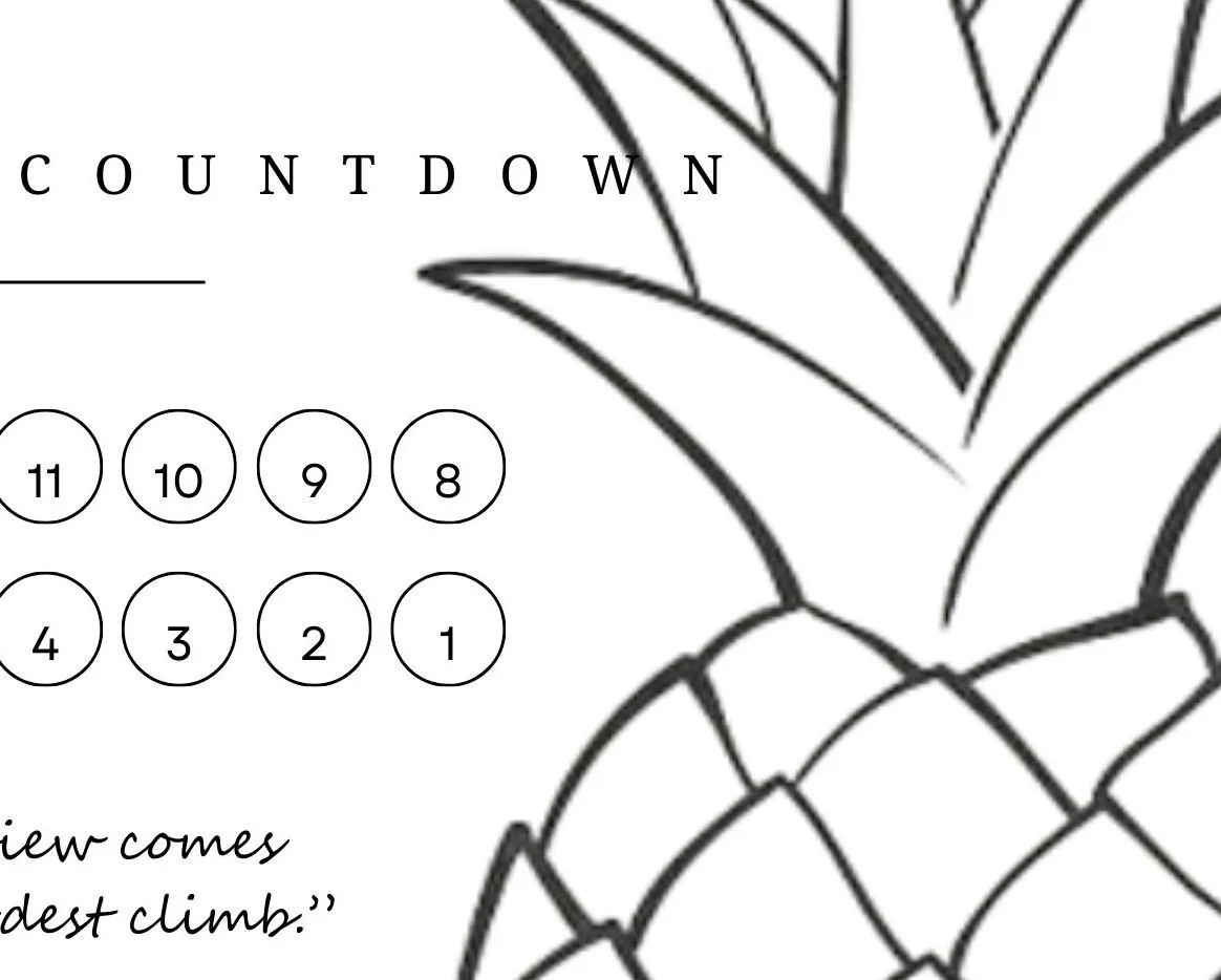 IVF Stims Countdown Printable.jpg