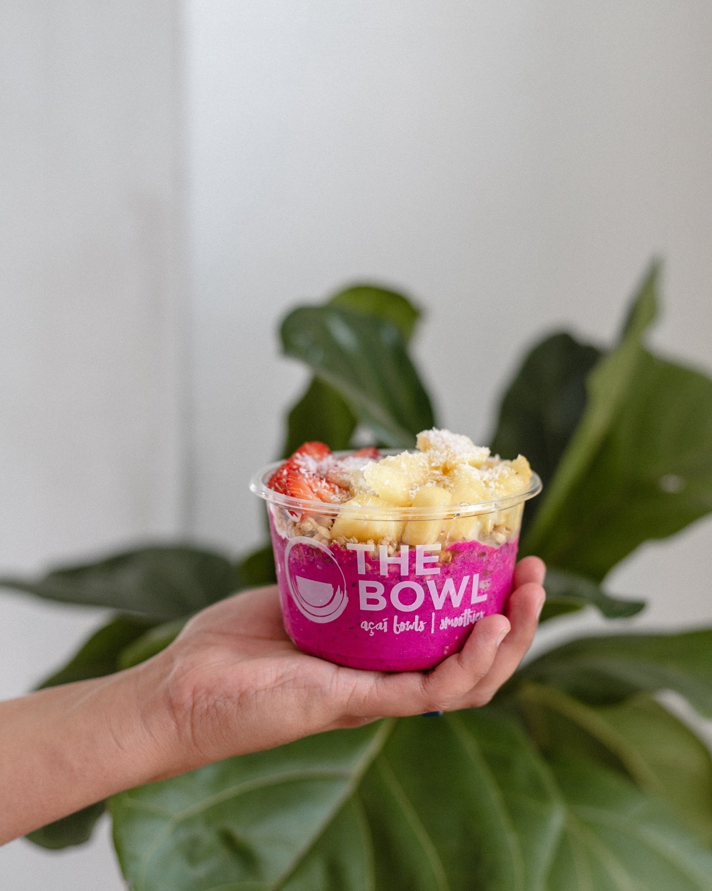 Hey you! We know you work hard&hellip;you deserve to treat yourself with one of our Pitaya Bowls. An organic, cold, refreshing, mouth watering Pitaya Bowl. 🩷🌴✨ 

🌺 Islamorada - blend of pitaya, strawberries, banana, pineapple juice, coconut milk &