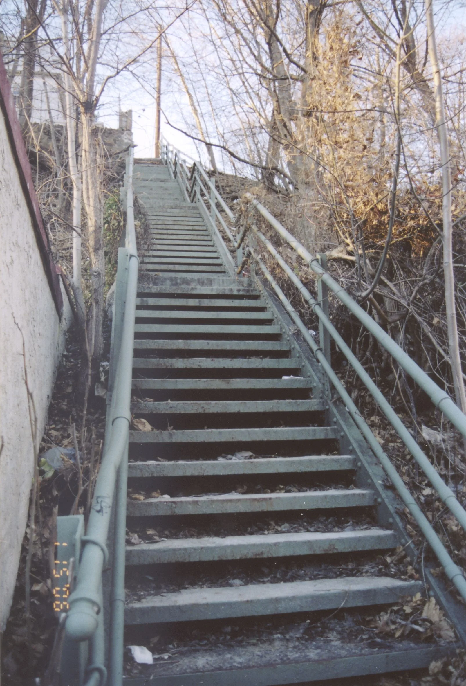 Stepsphoto.Coffin -- photo by Carol Coffin.jpg