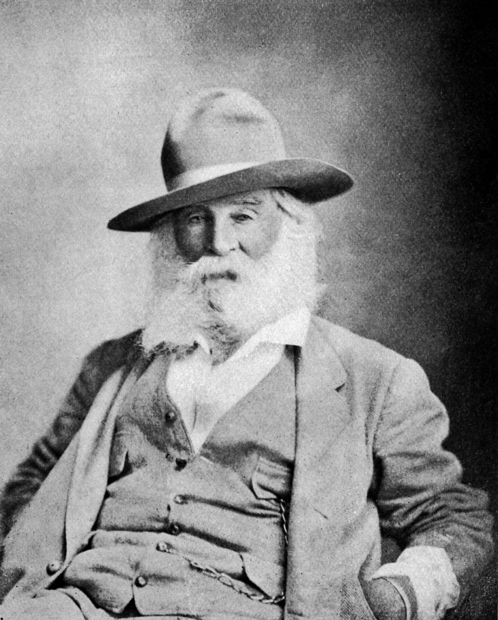 Walt_Whitman_at_65.jpg
