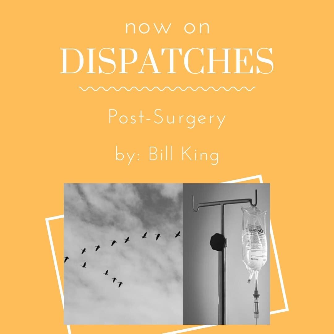 New to Dispatches this week was Post-Surgery by Bill King. Read it on our website and let us know what you think!