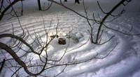 Barrie Arboretum winter