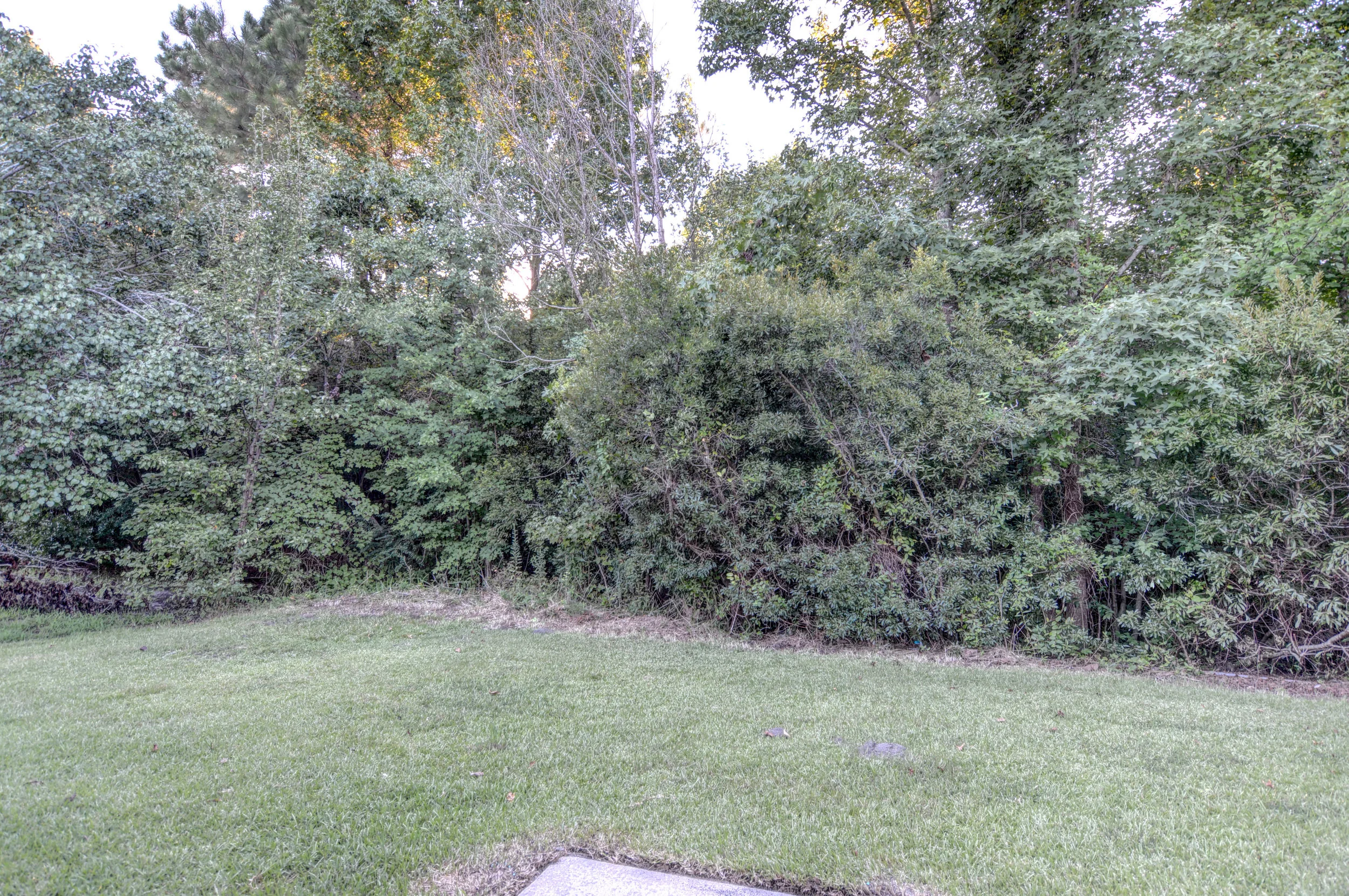 102 Milestone Ct Jacksonville-print-026-17-DSC 0262 3 4-4200x2789-300dpi.jpg