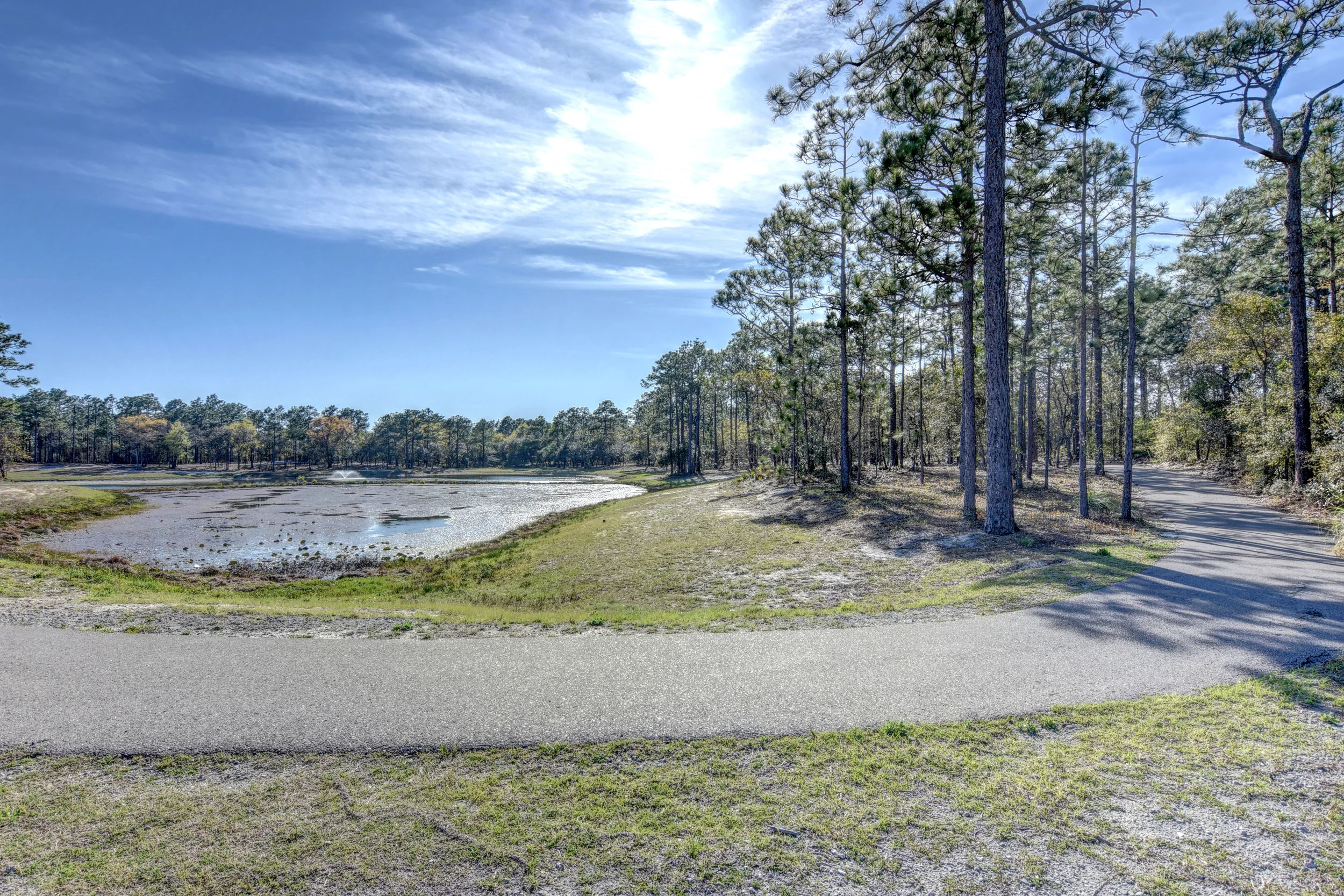 317 Maria Ct Wilmington NC-print-034-29-DSC 7785 6 7-4200x2801-300dpi.jpg