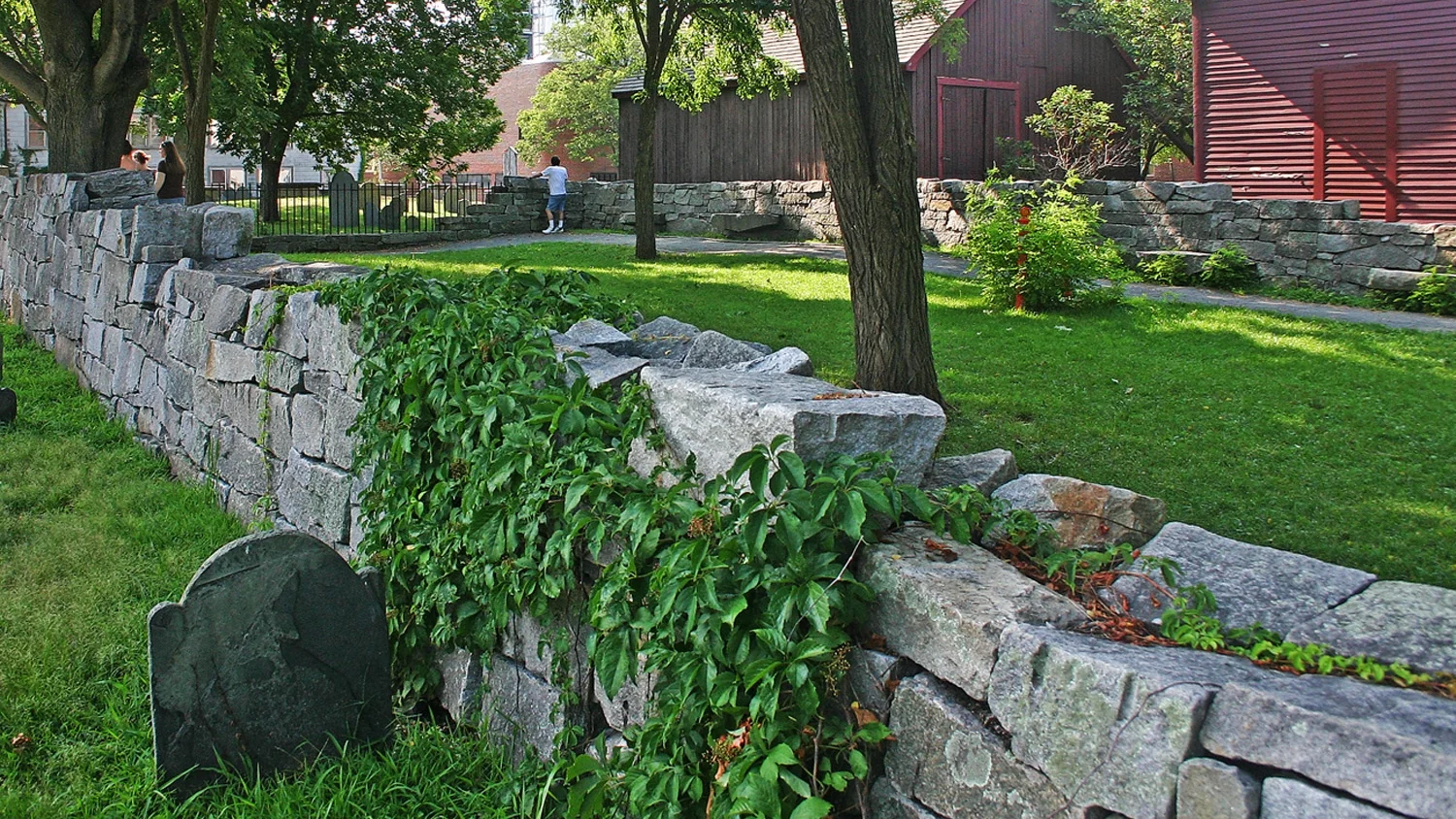 WM06a-crop-6.5.jpg
