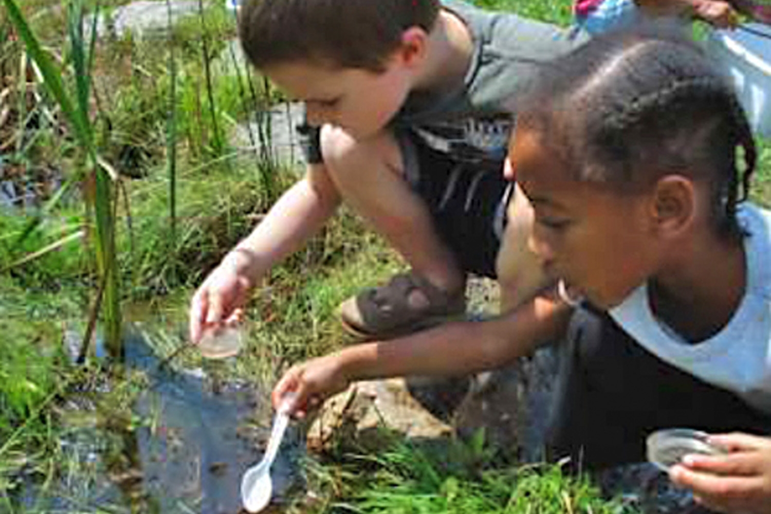 BNC kids2009-ppt.jpg