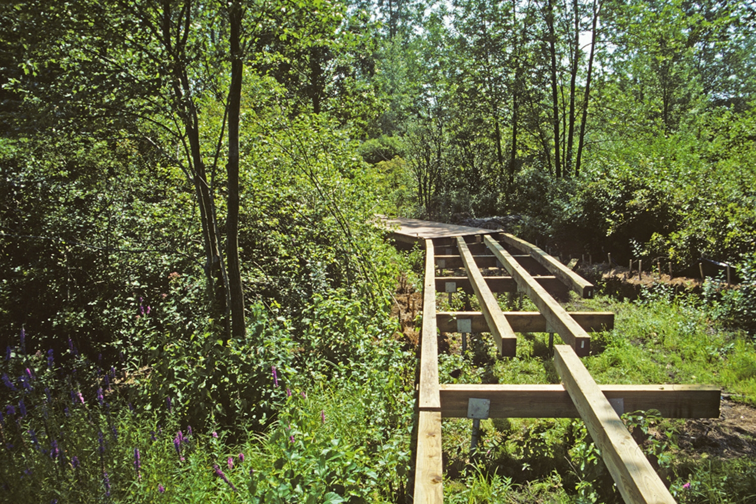 BNCBoardwalkConst2-ppt.jpg