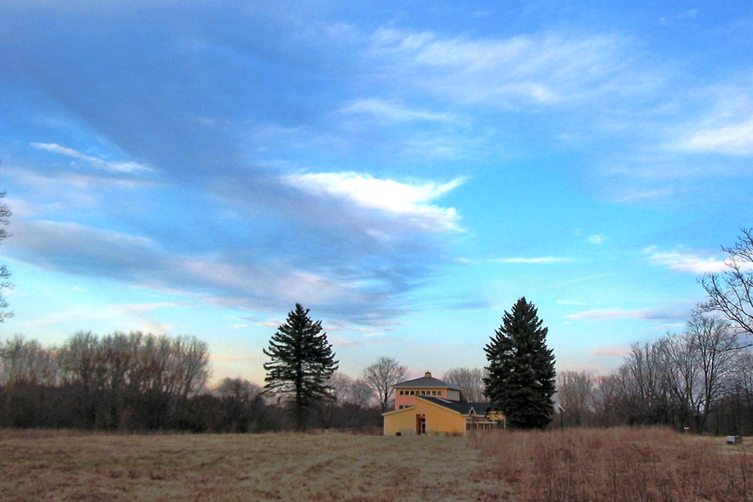 Flickr_gribley-a-6.5.jpg