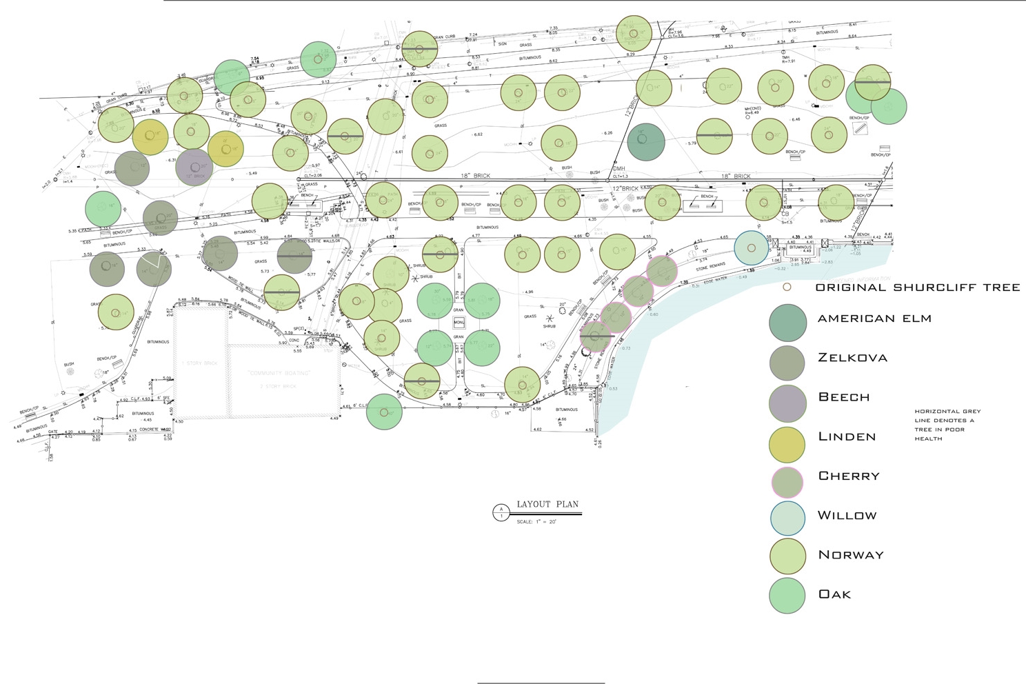 tree inventory plan.jpg