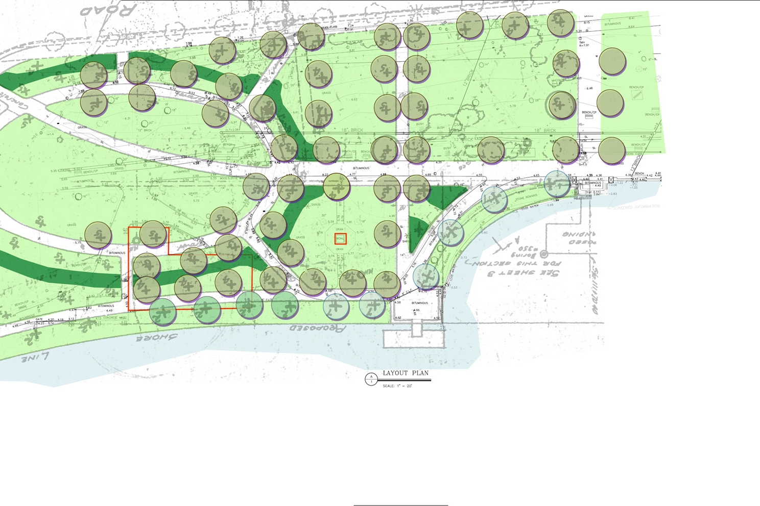 tree plan shurcliff.jpg