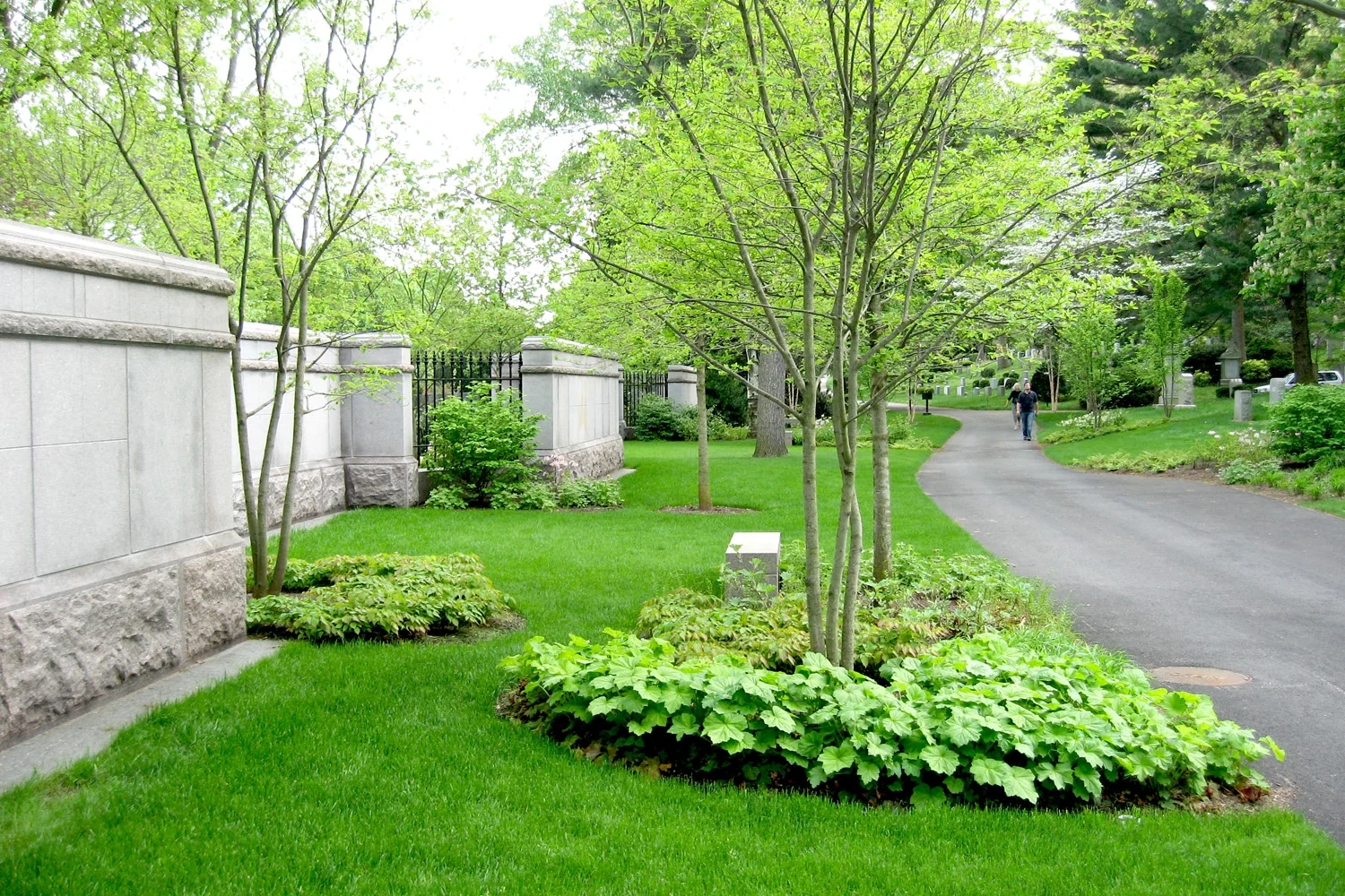 Birch Gardens