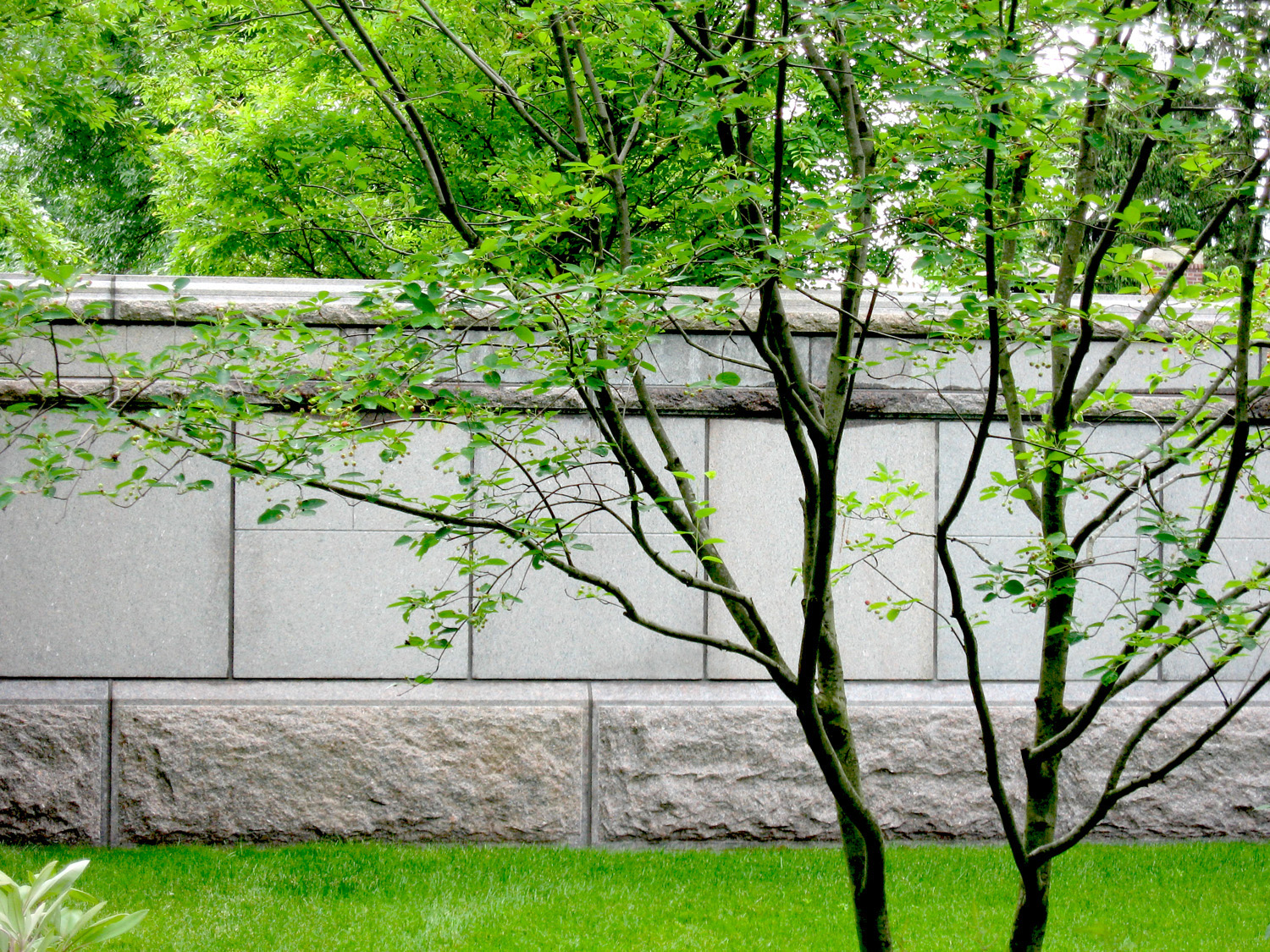 MOUNT AUBURN CEMETERY BIRCH GARDENS