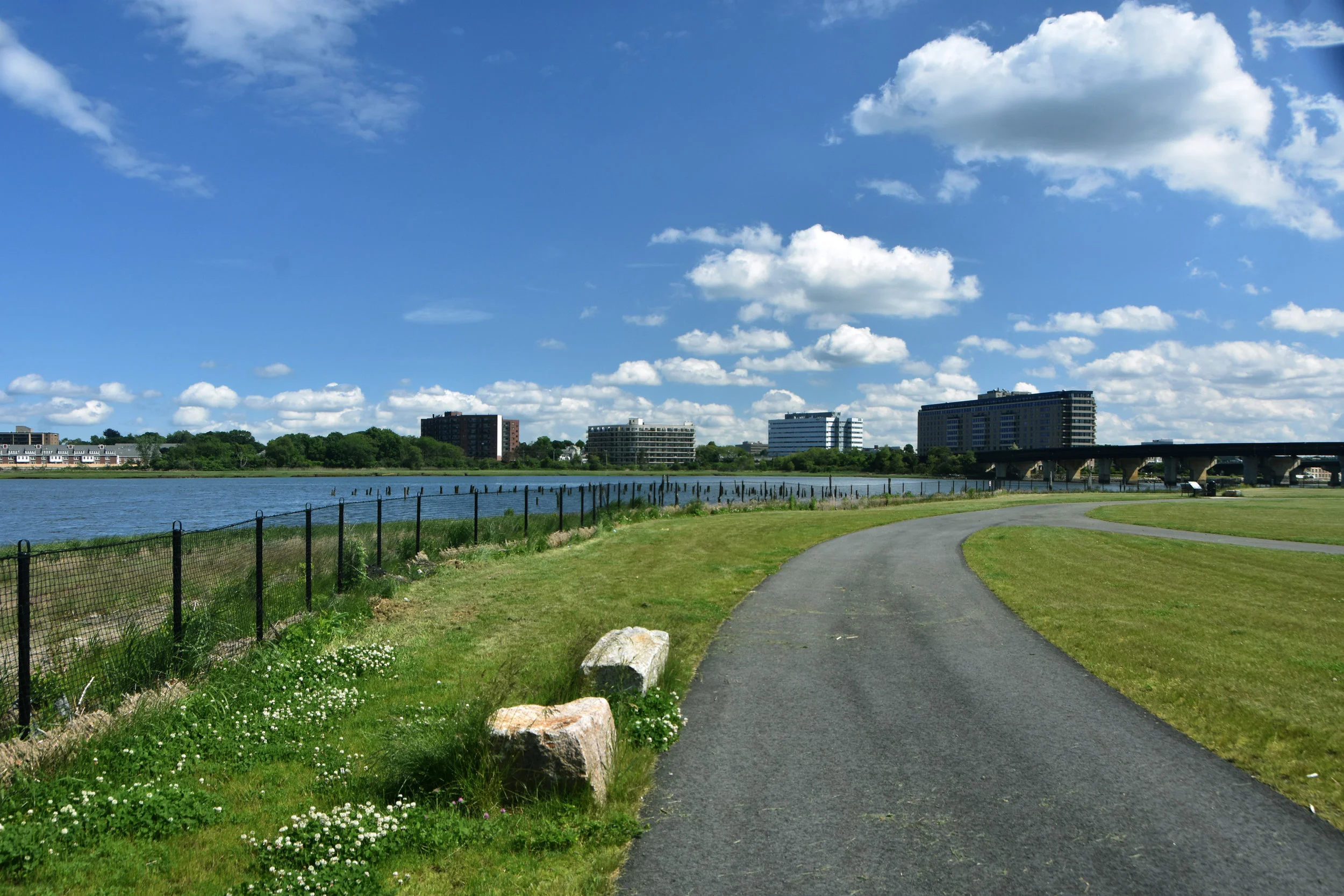 ShafferPaper_3993.jpg