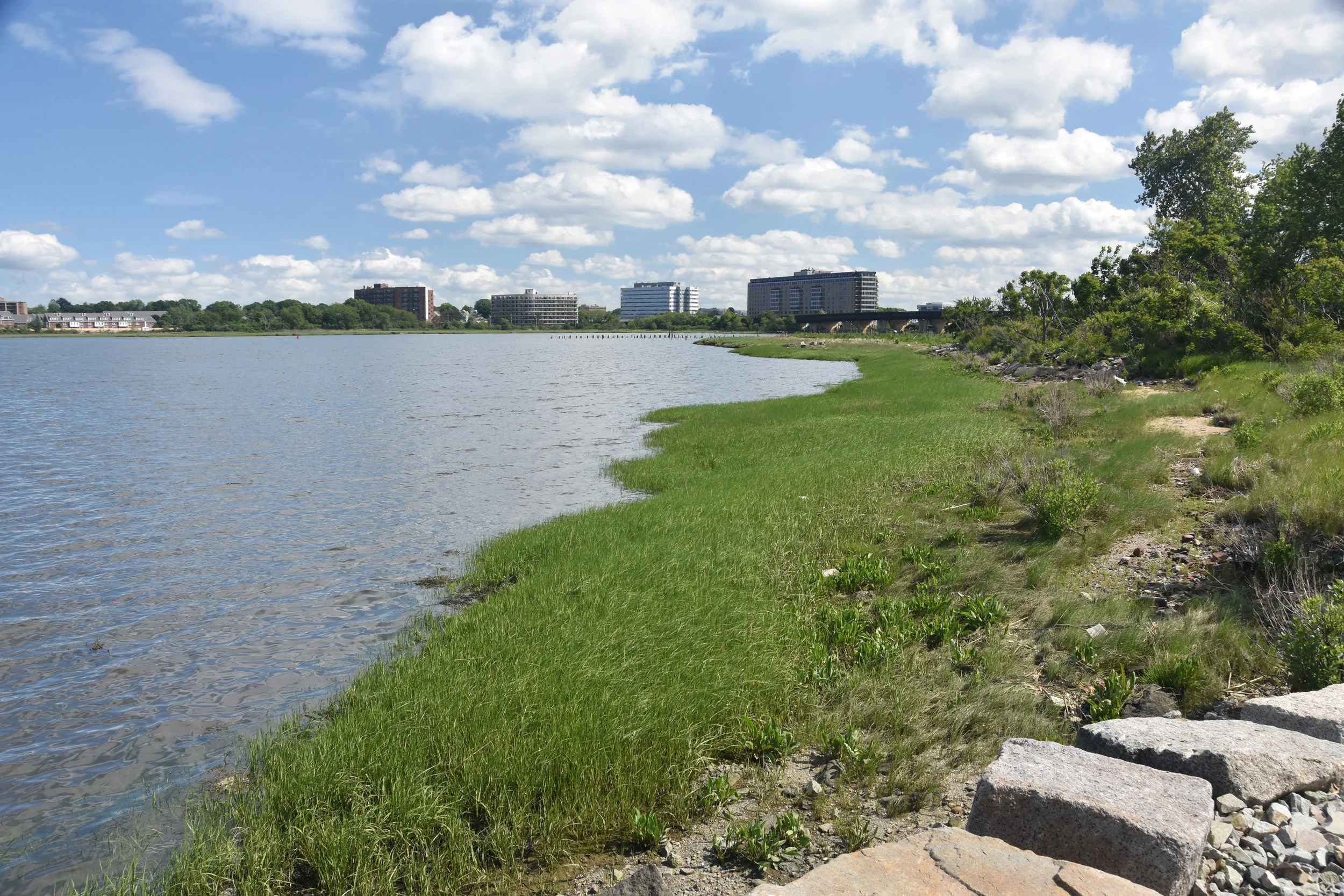 Existing and restored salt marsh along park shoreline